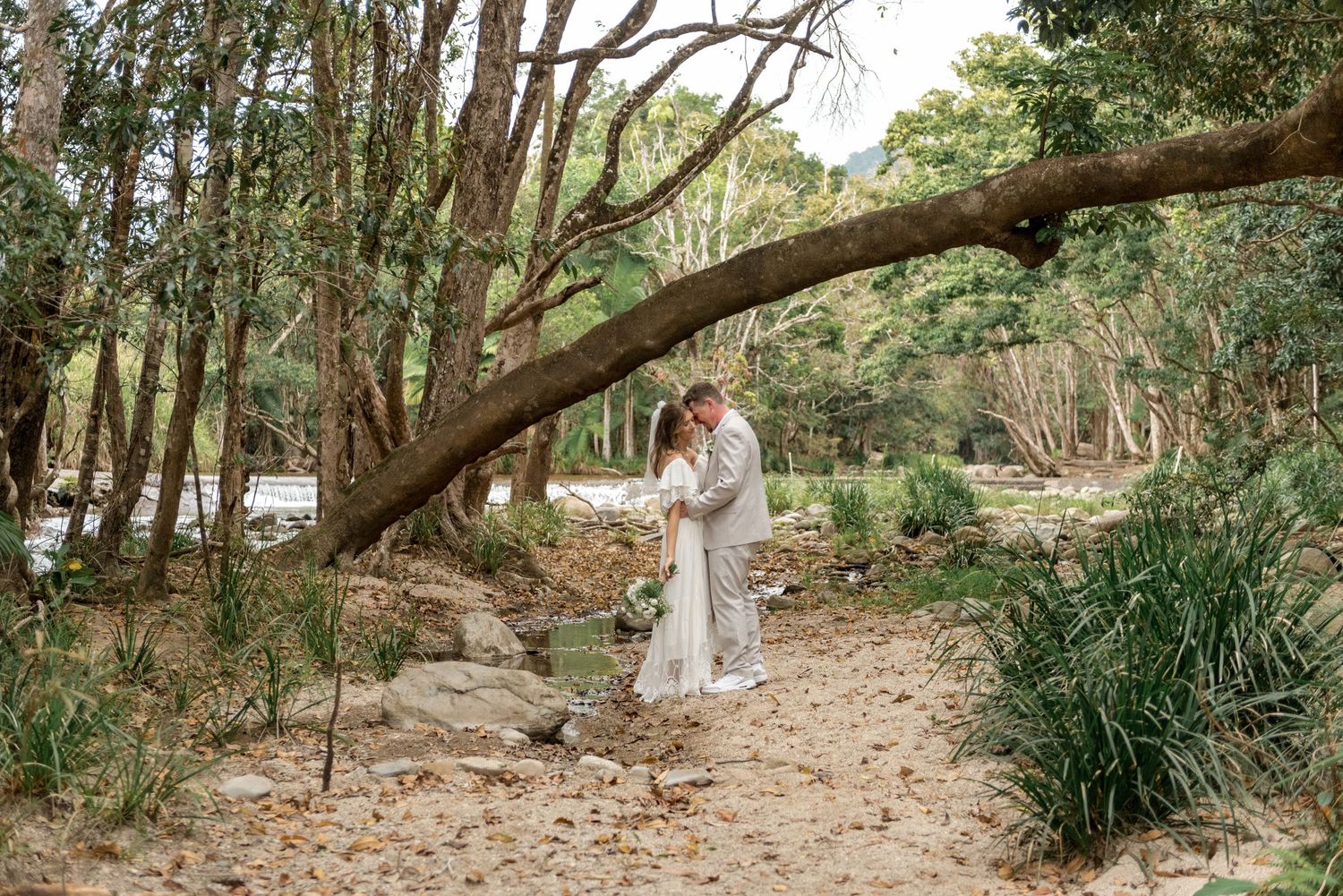 Bride and groom share a tender kiss beneath a dramatic arching tree in a natural woodland.