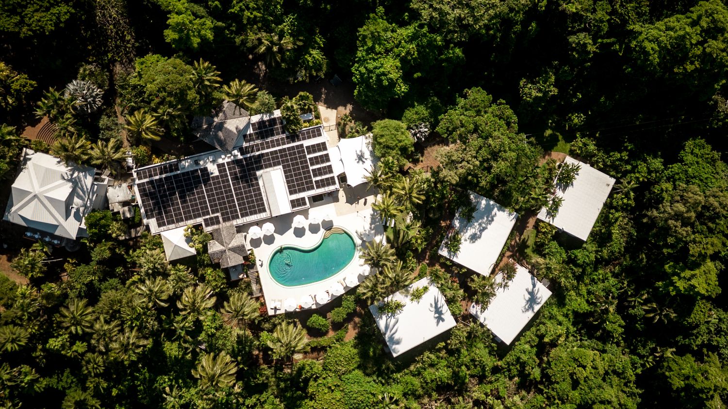 Aerial view of a tropical luxury property with a turquoise pool surrounded by dense palm trees and white rooftops.