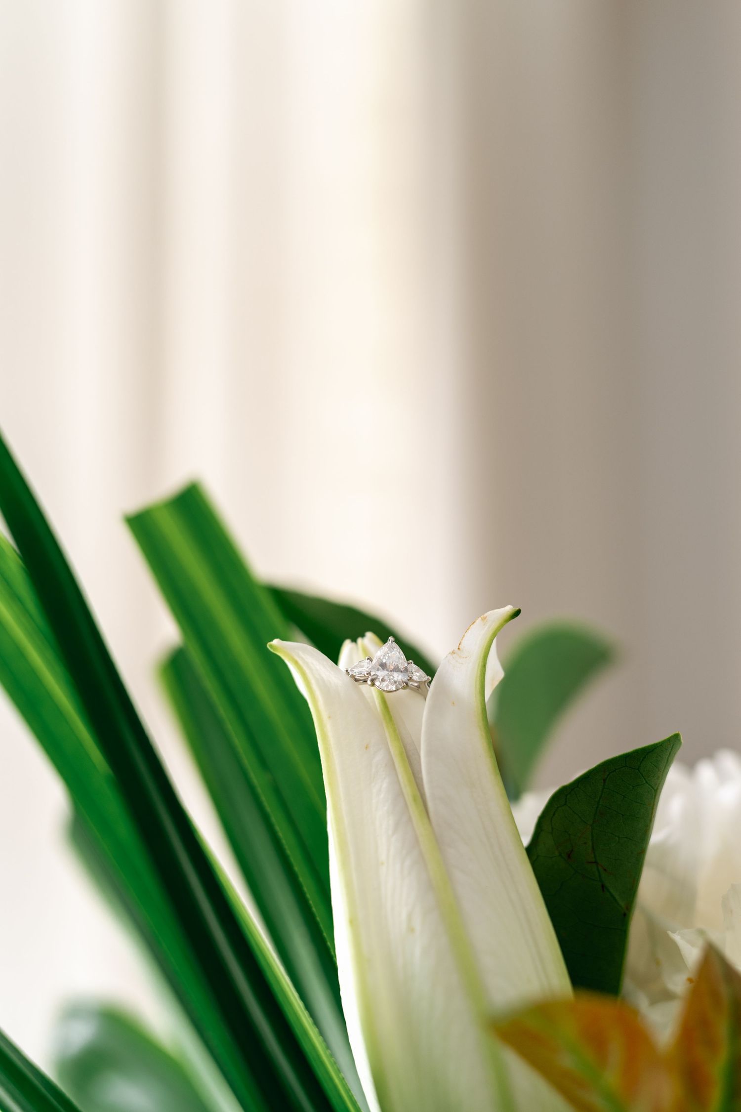 Elegant diamond engagement ring resting on a white tulip bloom with green leaves in soft natural light.