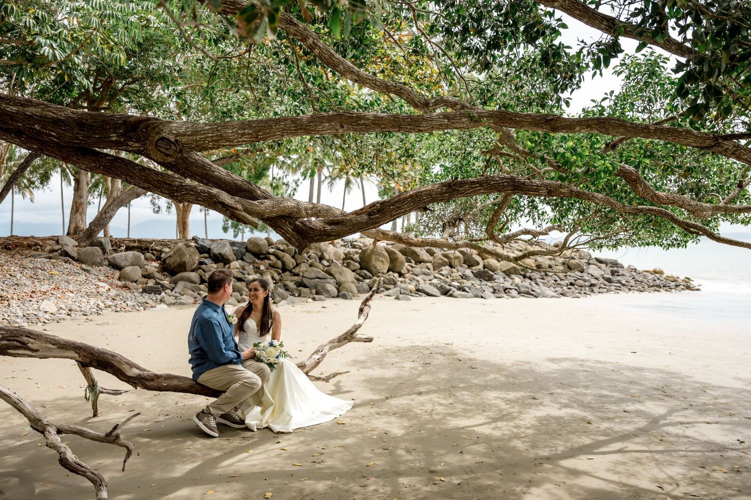 Newlywed couple sits romantically on driftwood under large banyan tree on sandy tropical beach at Little Cove, Port Douglas.