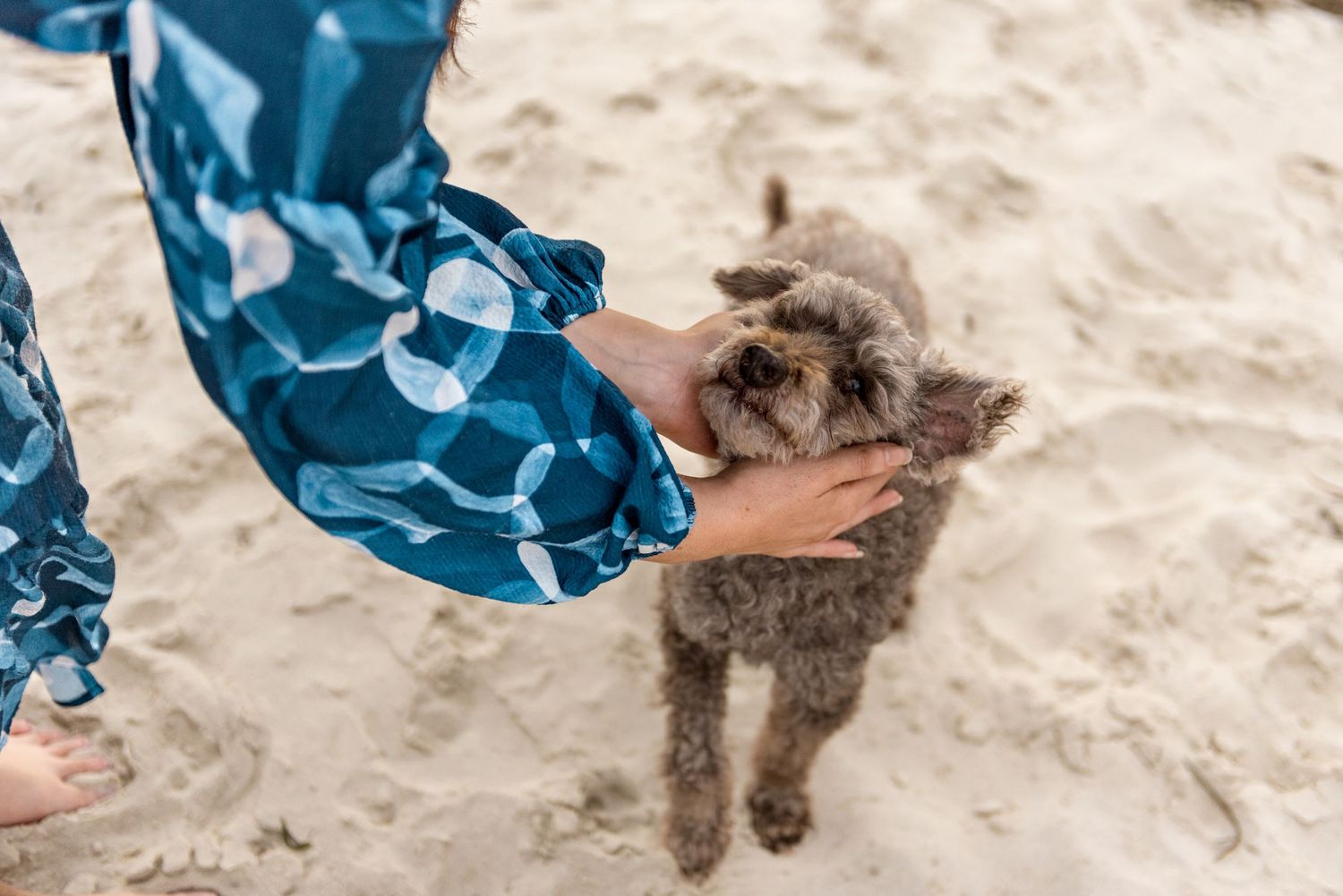 Woman in blue dress petting small grey dog on sandy beach.