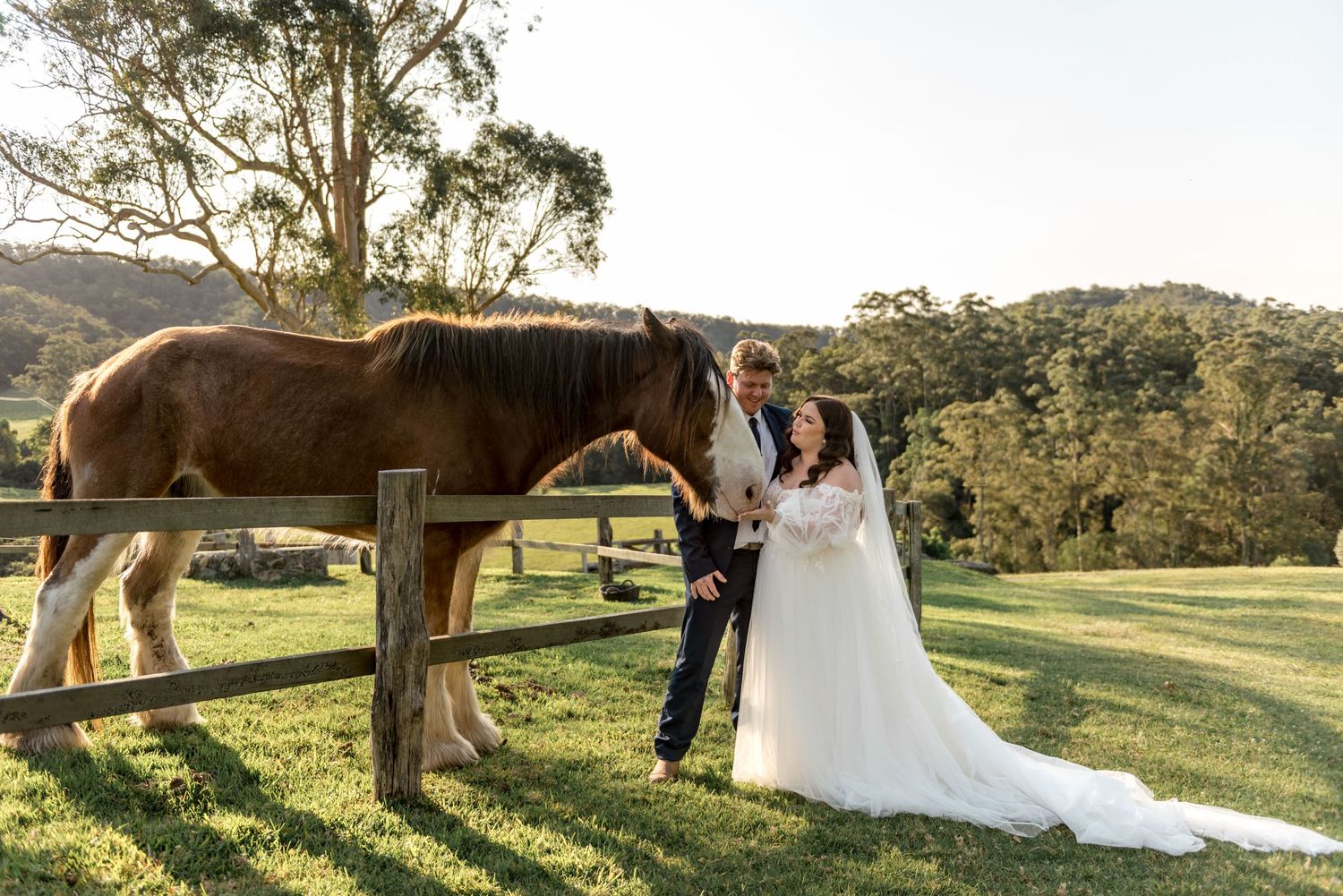 Bride and groom with chestnut horse at wooden fence on lush green farm at sunset wedding.