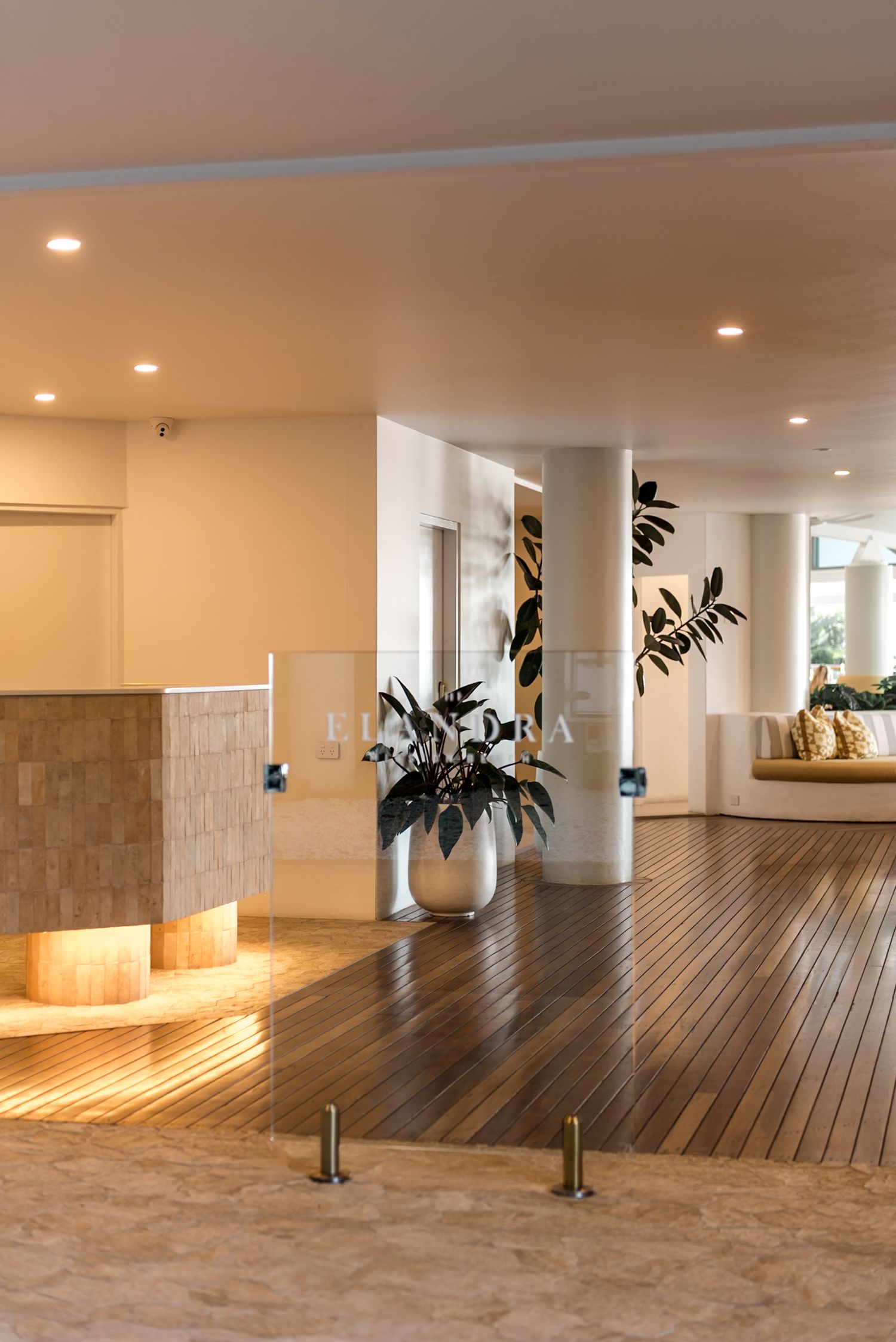 Modern hotel lobby interior with warm lighting, timber floors, large plant, and illuminated reception desk.