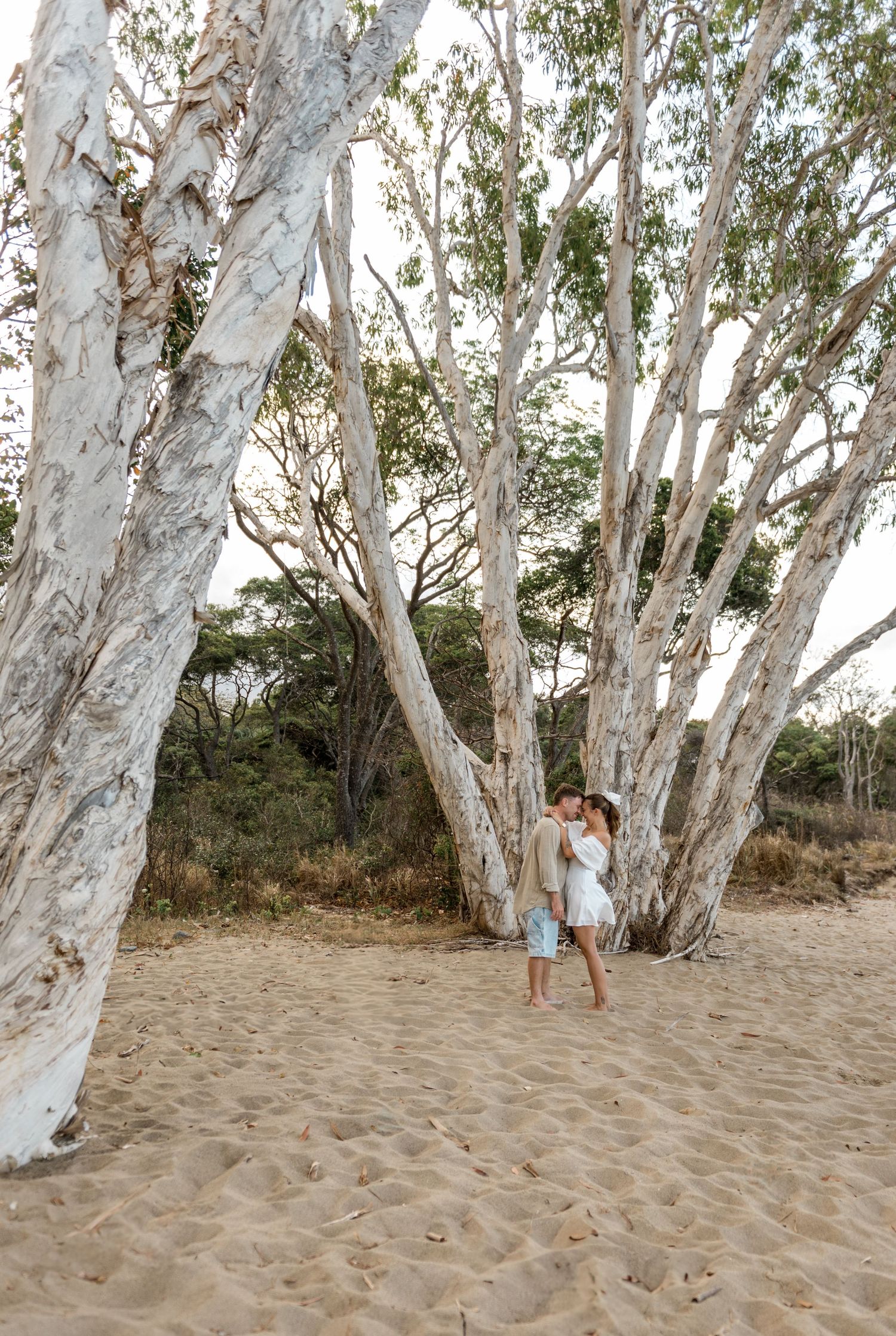 Couple kissing between tall white paperbark trees on a sandy beach in natural setting.