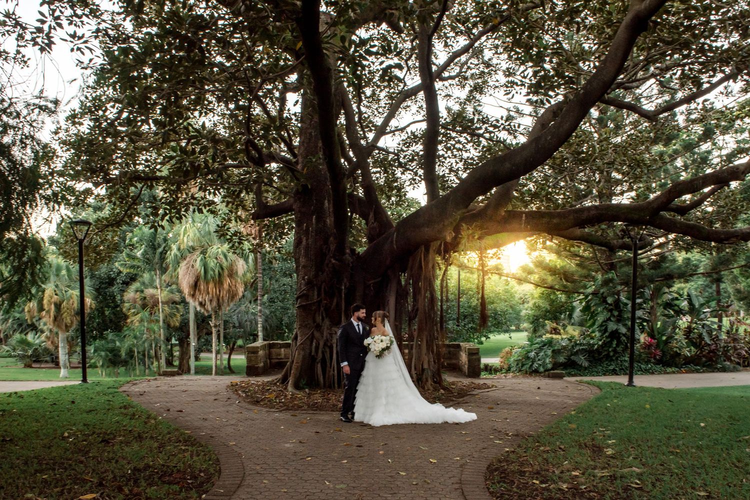 Bride and groom embrace beneath a large sprawling tree at golden hour in a lush green park.