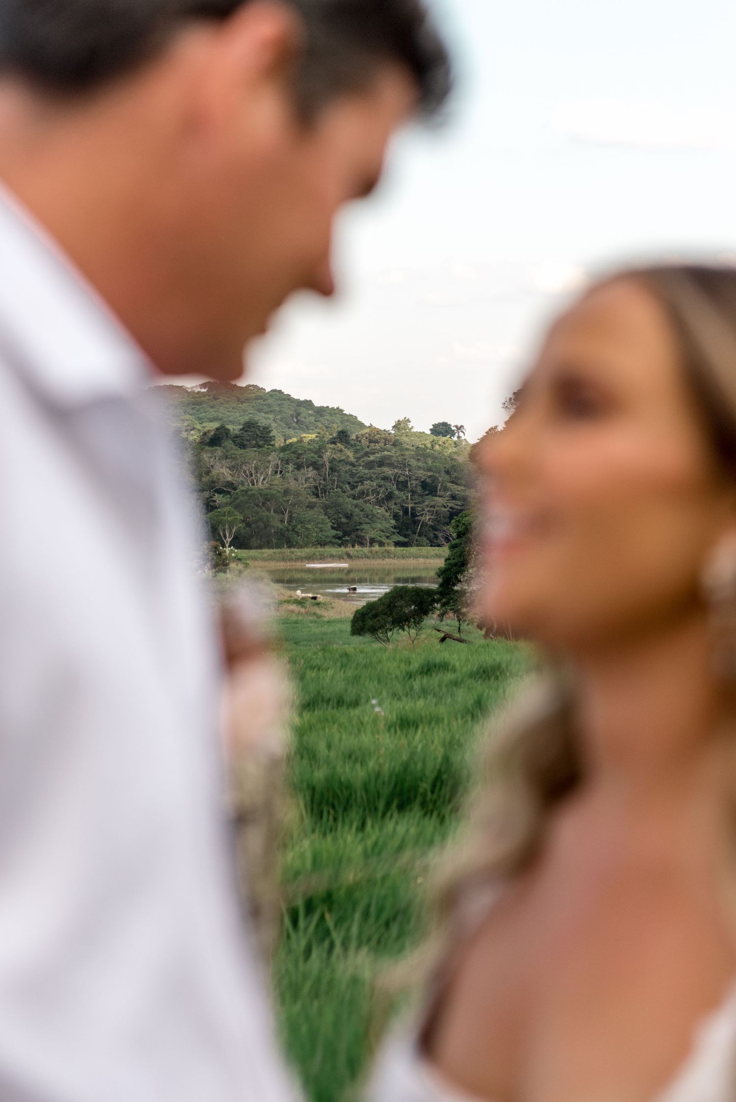 Soft focus portrait of smiling bride and groom with a vibrant green countryside landscape behind them.