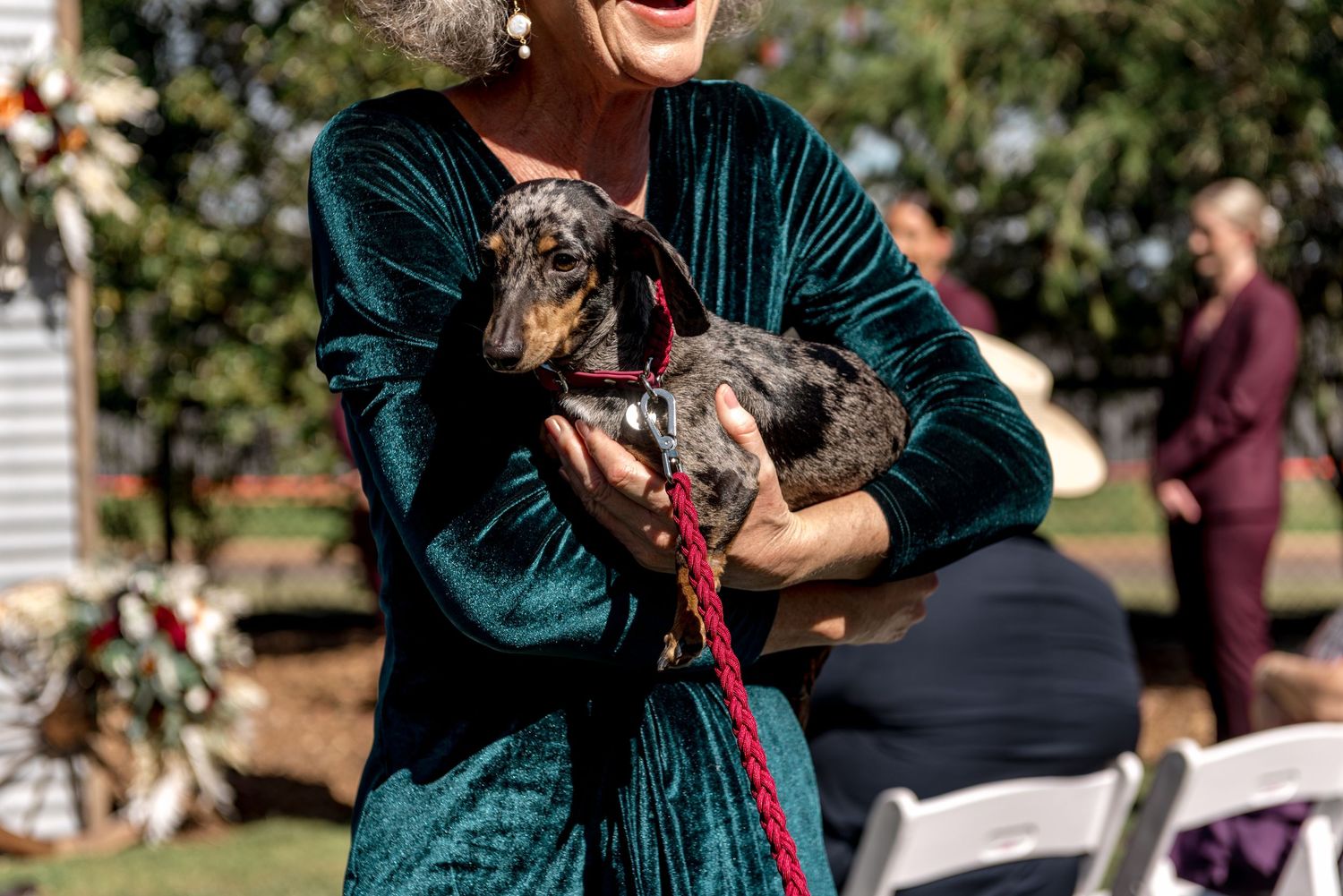 Woman in teal velvet dress holds a dachshund dog during an outdoor wedding ceremony.