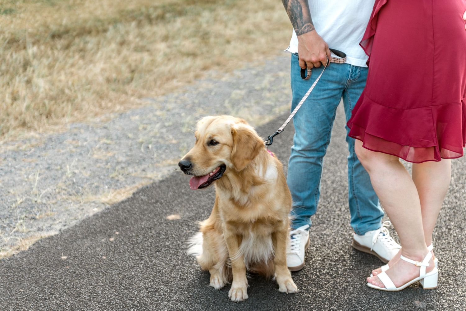 A golden retriever sits on a path while a couple stands beside it on a sunny day.