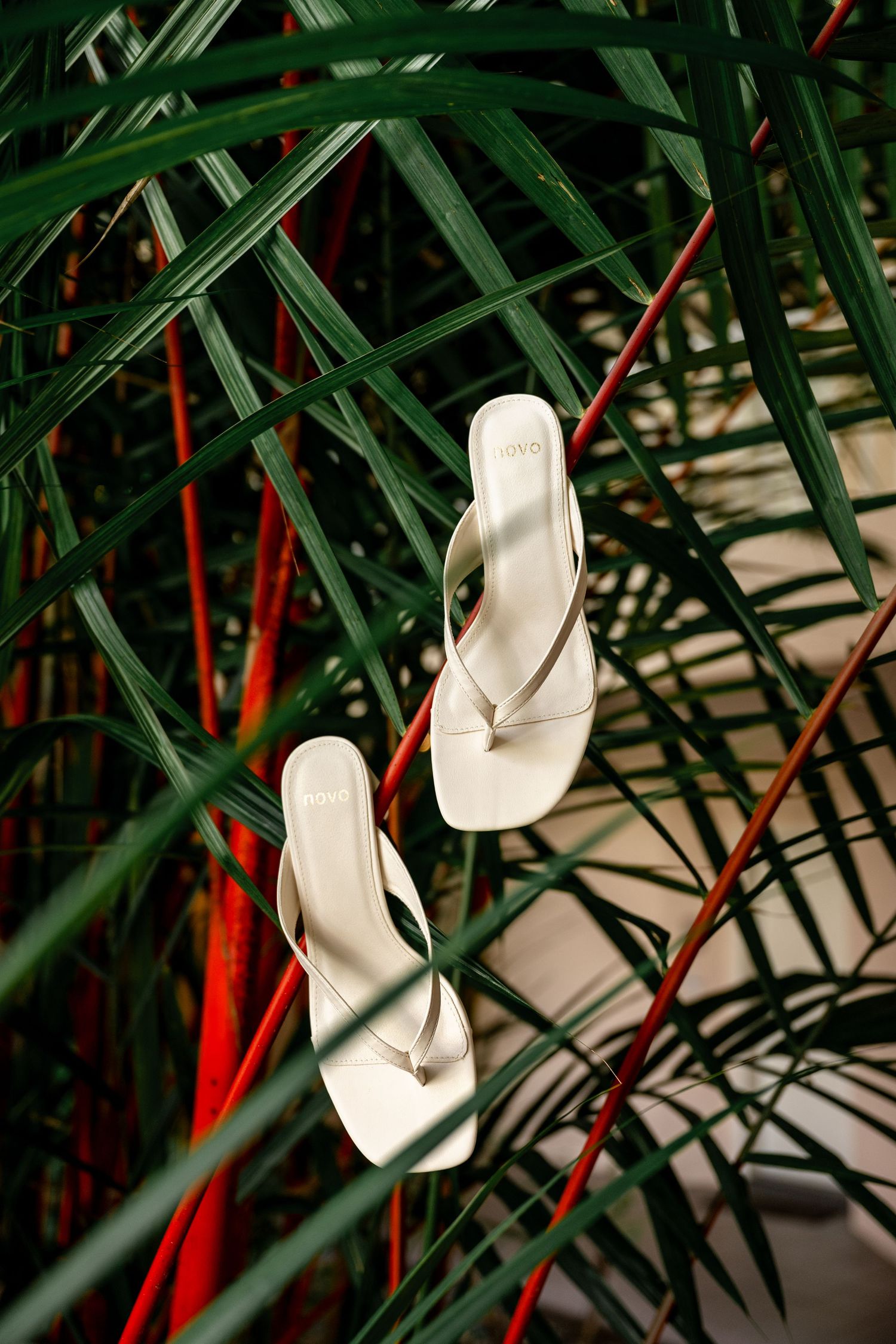 White thong sandals nestled among lush tropical green and red palm leaves outdoors.