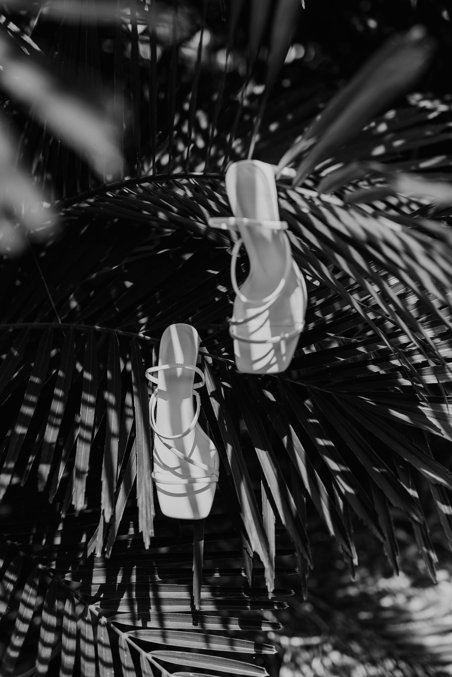 Black and white photo of white strappy bridal heels resting on tropical palm leaves in sunlight.