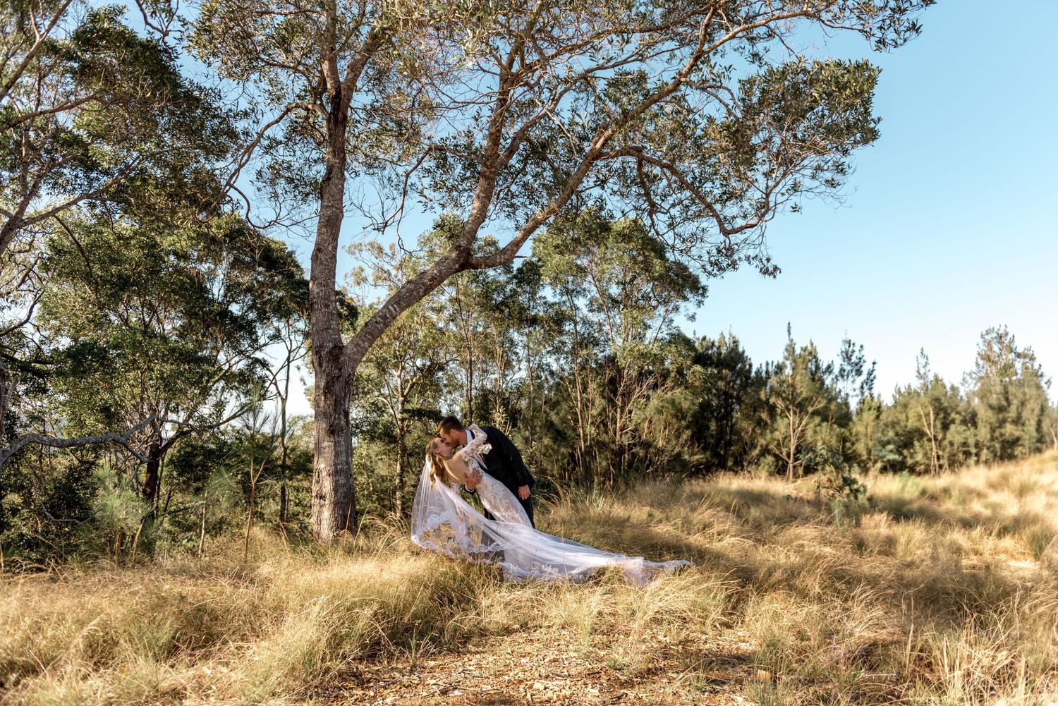 Wedding couple shares a romantic dip kiss in a golden grass field with tall eucalyptus trees behind.