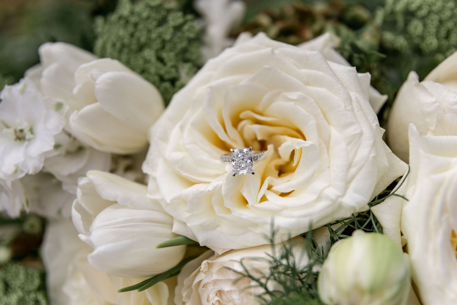 Diamond engagement ring resting inside a blooming white garden rose in bridal bouquet.