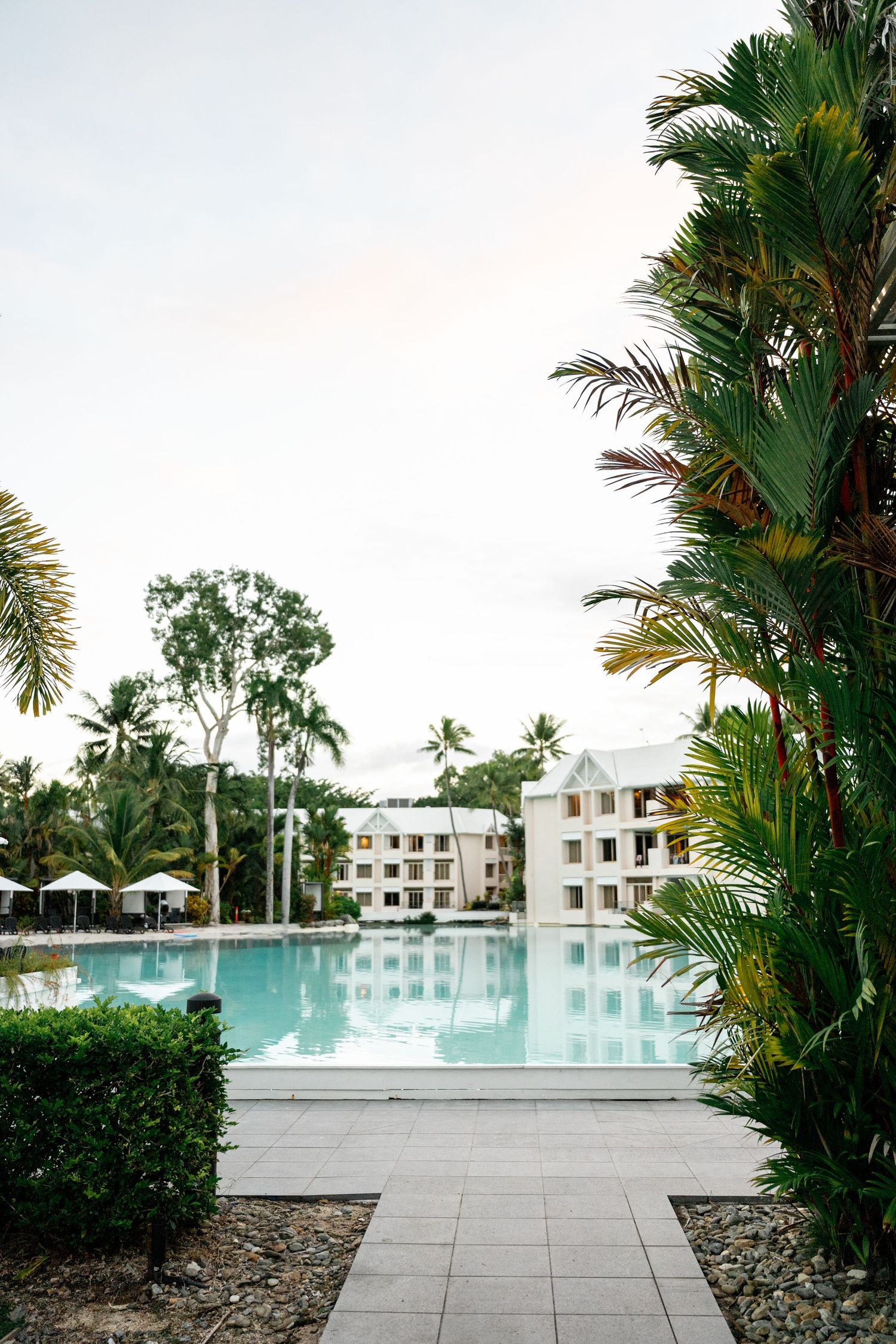Serene tropical resort pool surrounded by lush palm trees and white hotel buildings at dusk, Sheraton Grand Mirage Port Douglas.