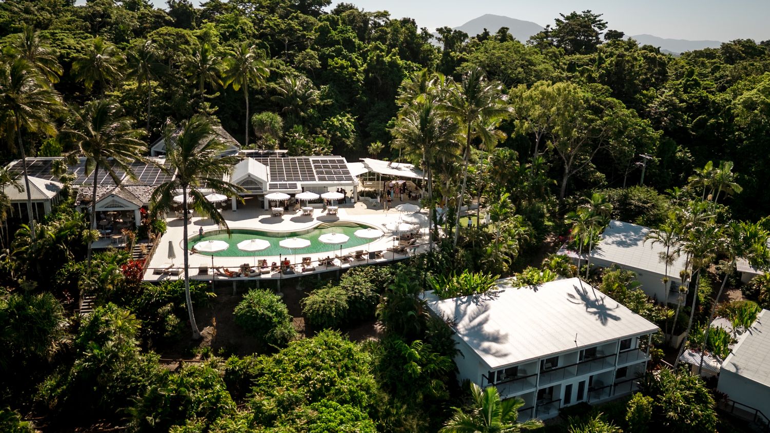 Aerial view of a tropical resort surrounded by lush palm trees featuring a pool and white buildings with solar panels.