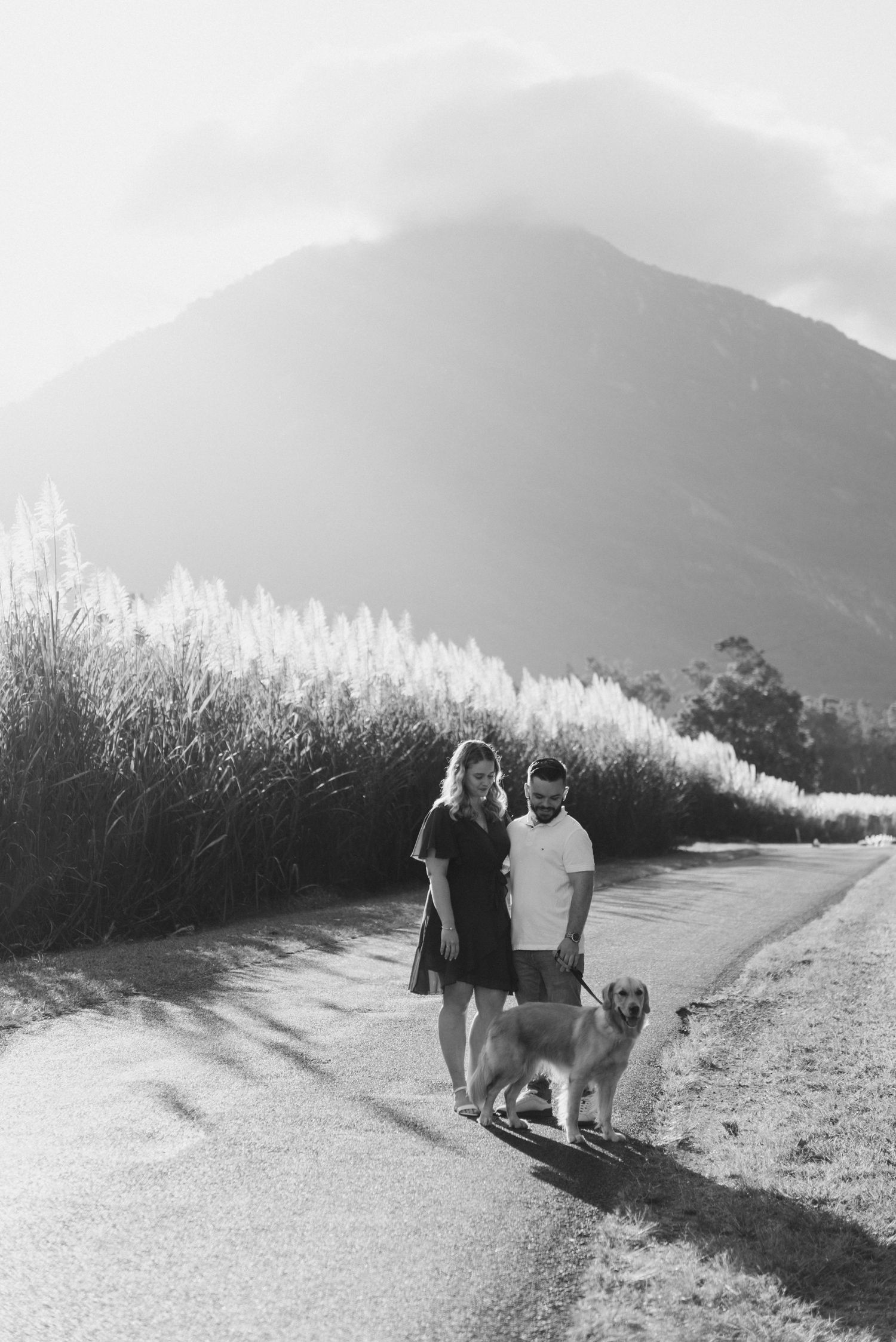 Black and white photo of couple walking golden retriever on road with dramatic mountain and tall grasses backdrop.