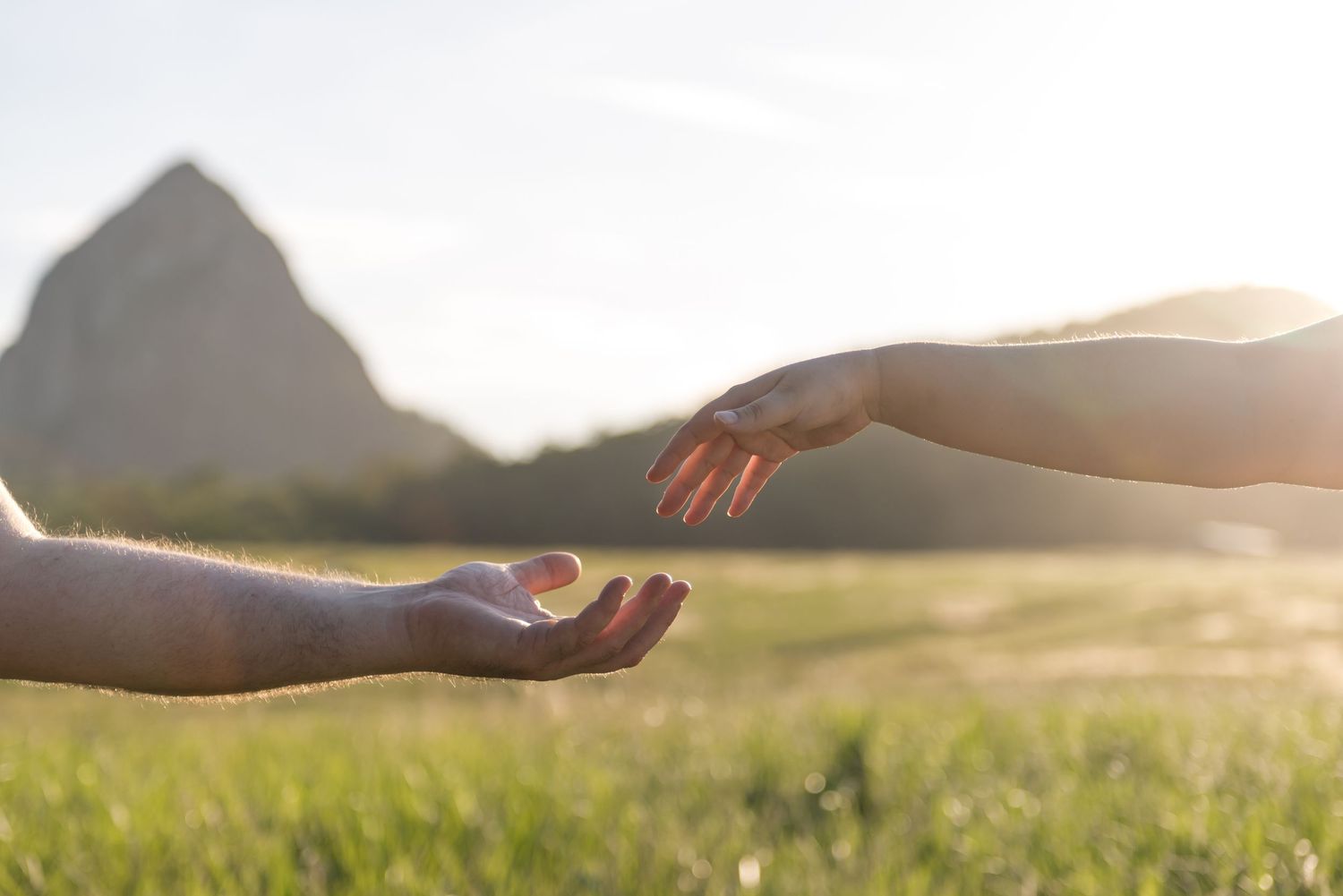 Two hands reaching toward each other in a sunlit field with a rocky mountain peak in the background.