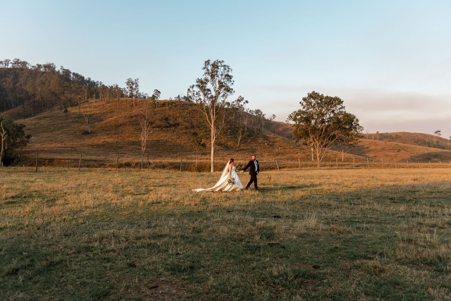 Bride and groom walking hand in hand across sunlit pastoral field with eucalyptus trees and hills.
