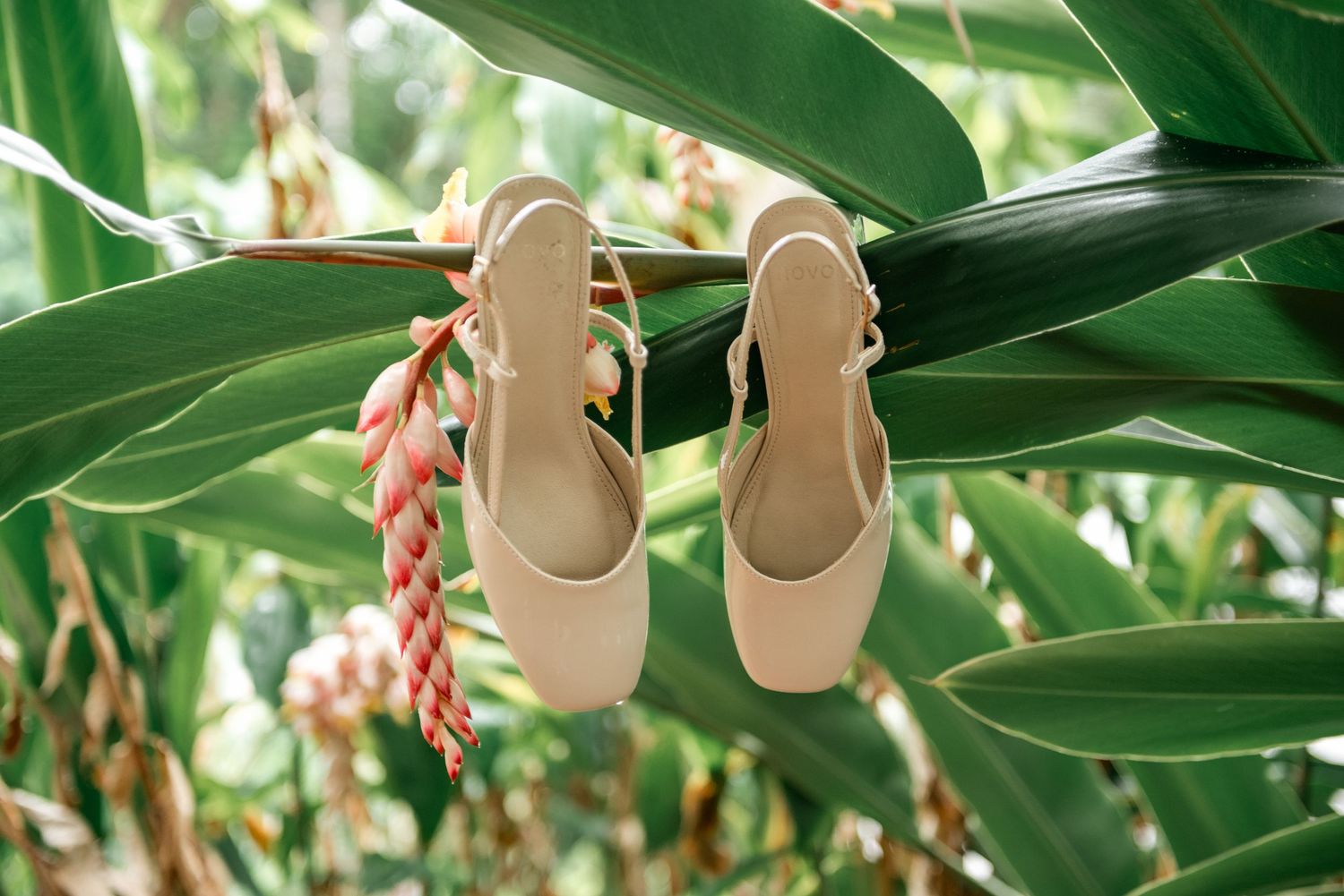 Nude slingback bridal heels hanging on tropical green leaves with pink flower accents nearby.
