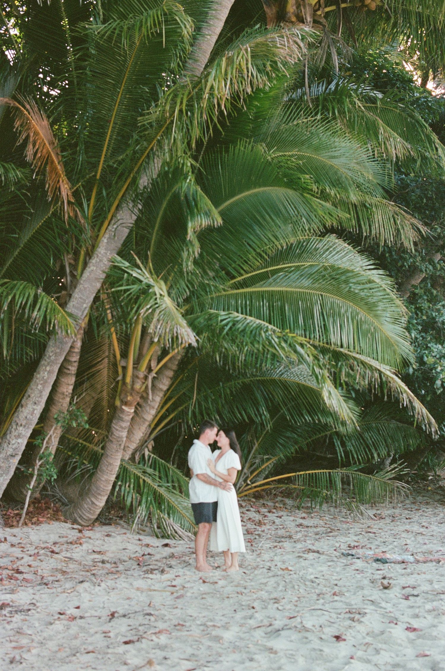 Romantic couple embracing and kissing under tall tropical palm trees on a white sandy beach.