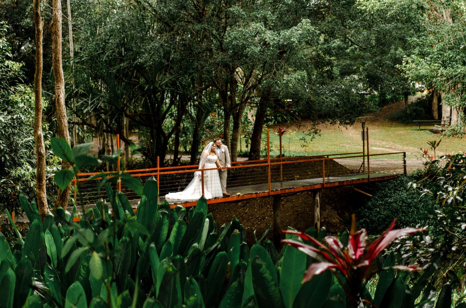 Bride and groom share a romantic moment on a rustic wooden bridge surrounded by lush greenery.