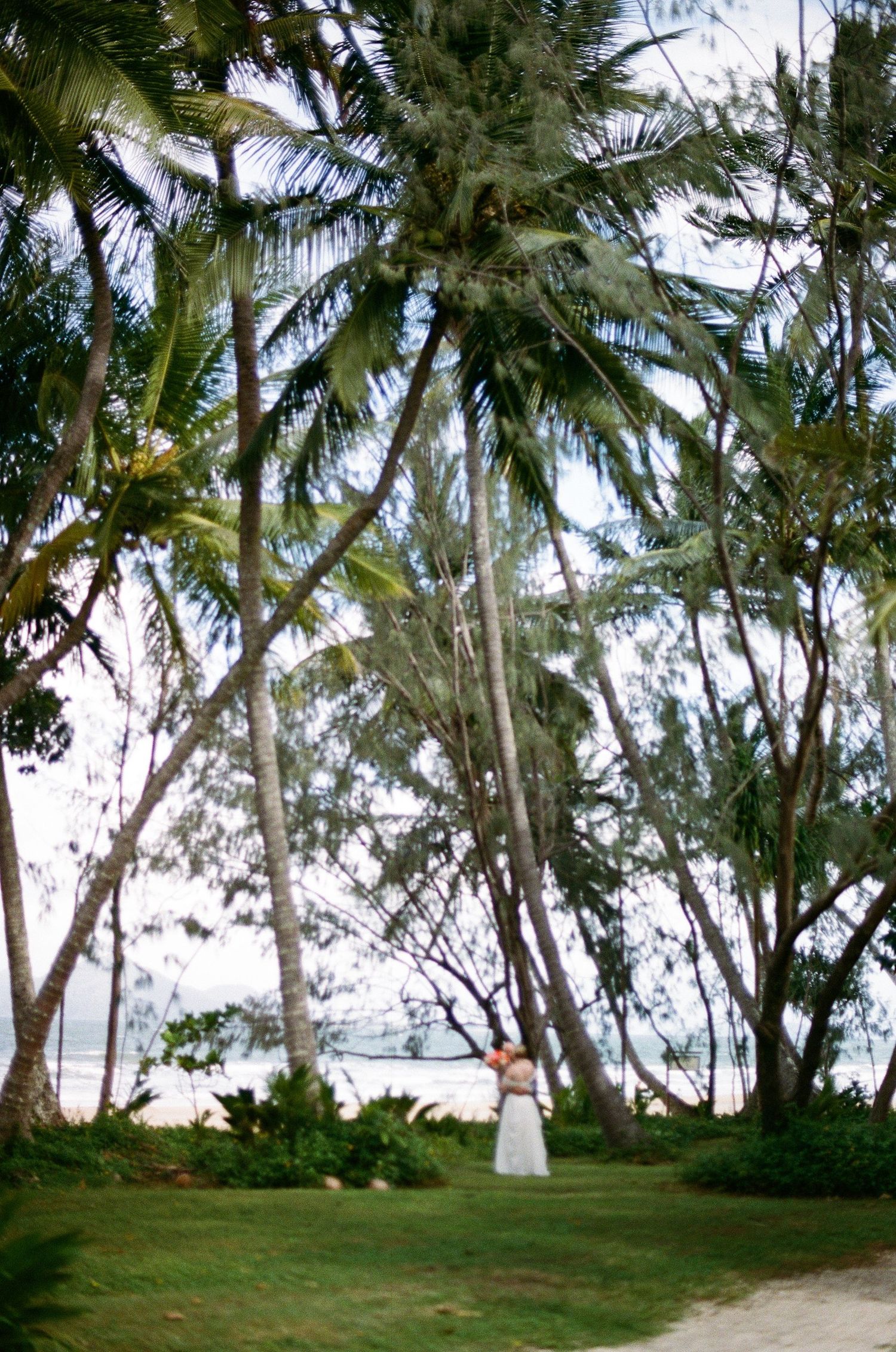 Bride stands alone among tall tropical palm trees near beach shoreline in stunning white wedding gown.