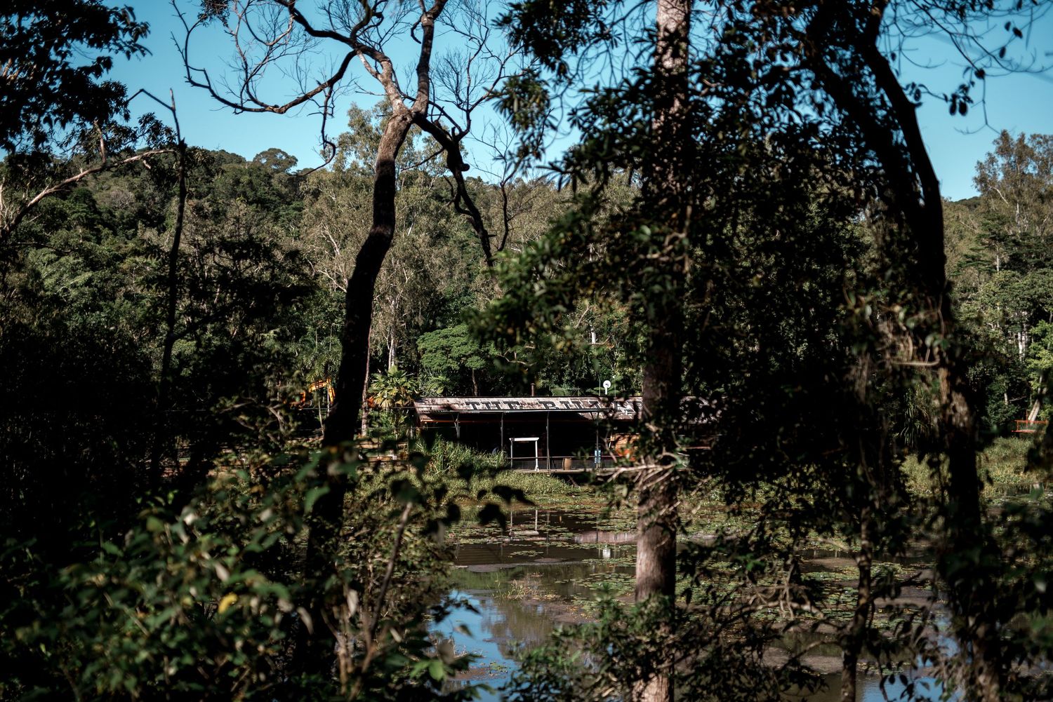 Scenic woodland wedding venue reflected in tranquil pond.