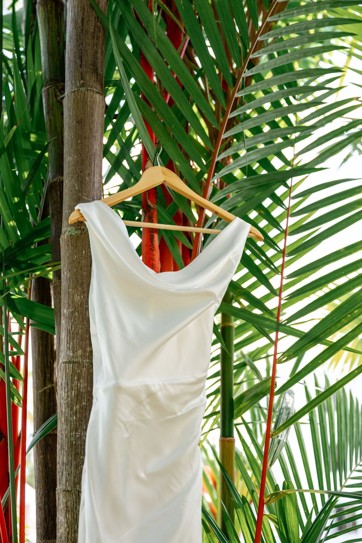 White wedding dress on wooden hanger hanging from tropical palm tree with lush green and red foliage.
