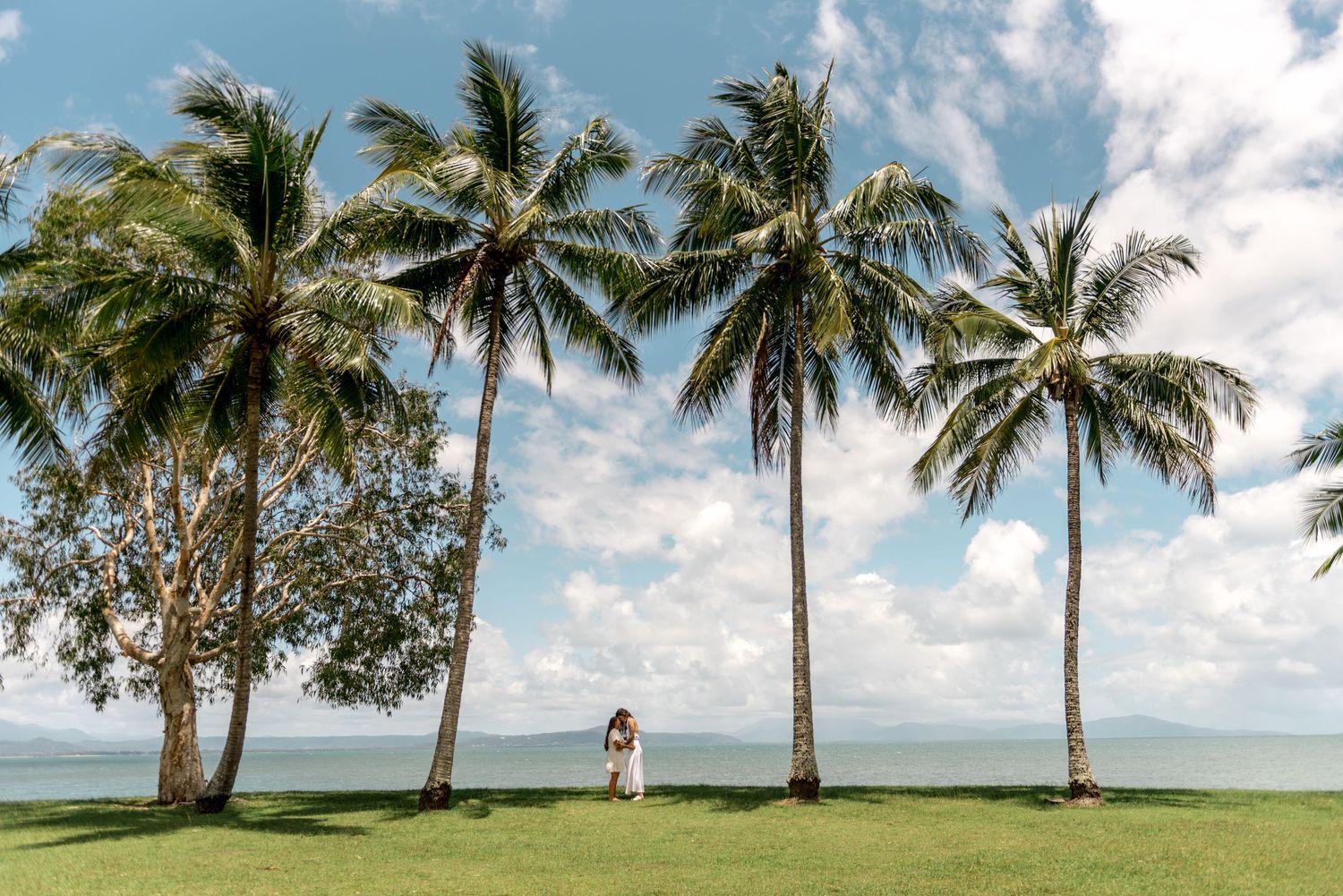 Two women in white dresses embracing on a green lawn surrounded by tall swaying tropical palm trees.