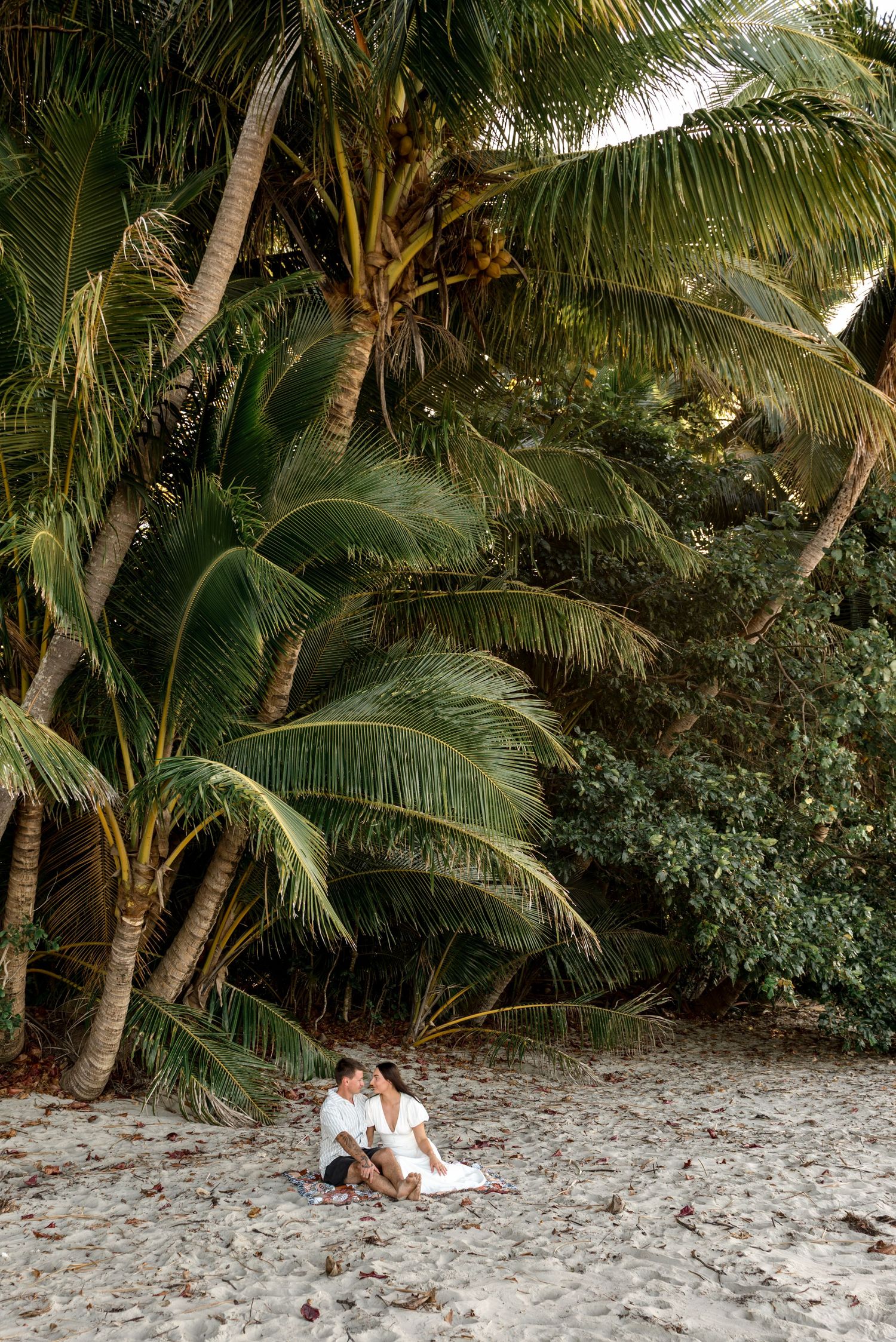 Couple sitting together on a sandy tropical beach surrounded by lush palm trees at golden hour.