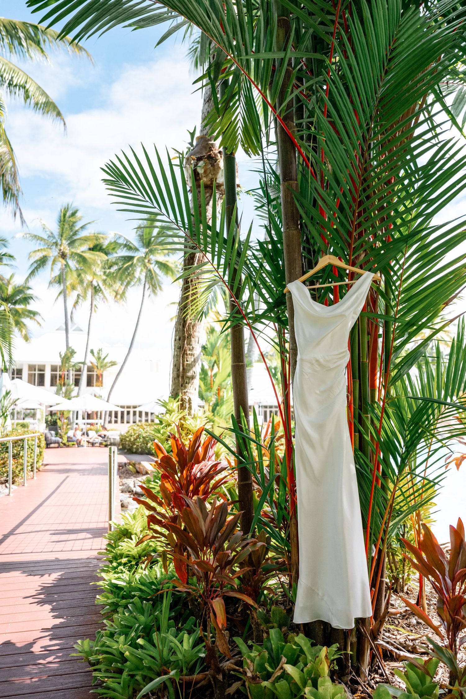 Elegant white wedding dress hanging from a tropical palm tree in a sunny outdoor resort setting.