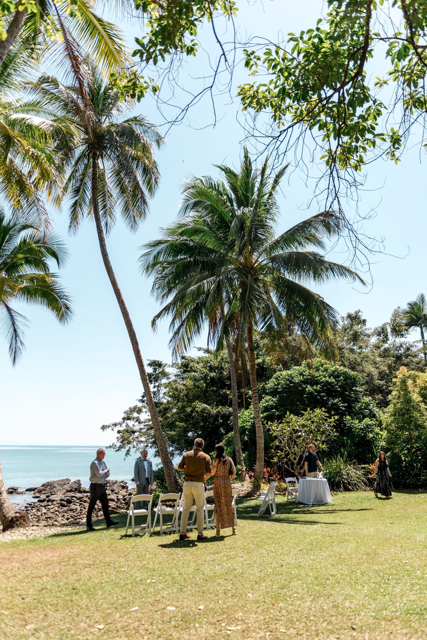 Wedding guests mingle on lush lawn surrounded by tall palm trees beside a tropical beach.