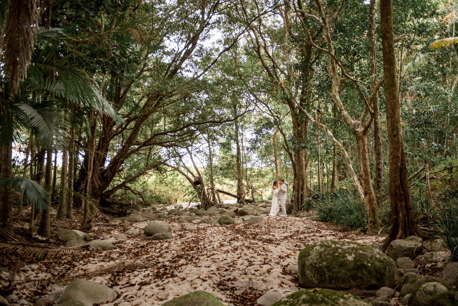 Bride in white wedding dress standing alone in scenic tropical forest with large trees and rocky ground.