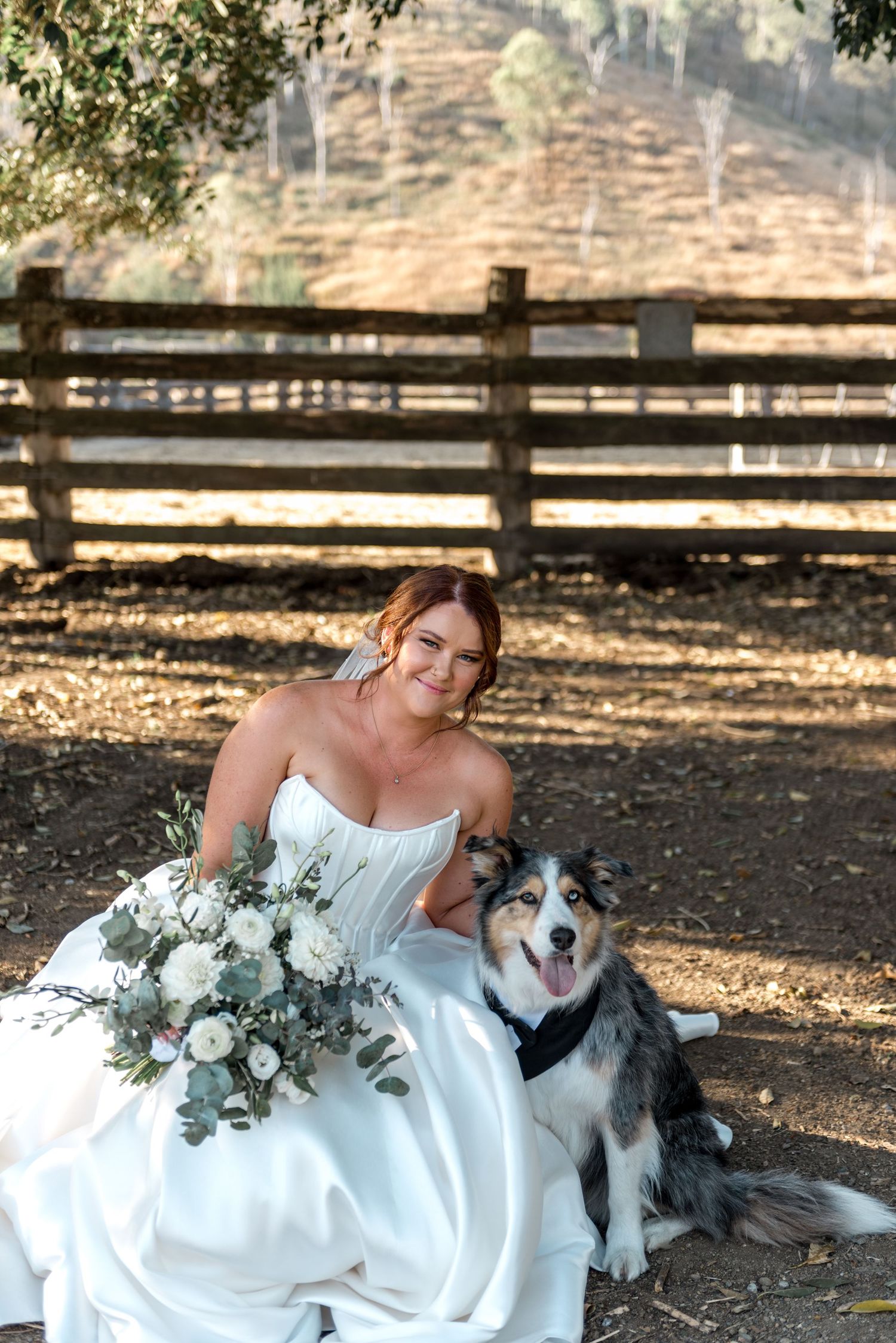 Bride in white strapless gown sits with Australian Shepherd dog holding white floral bouquet.