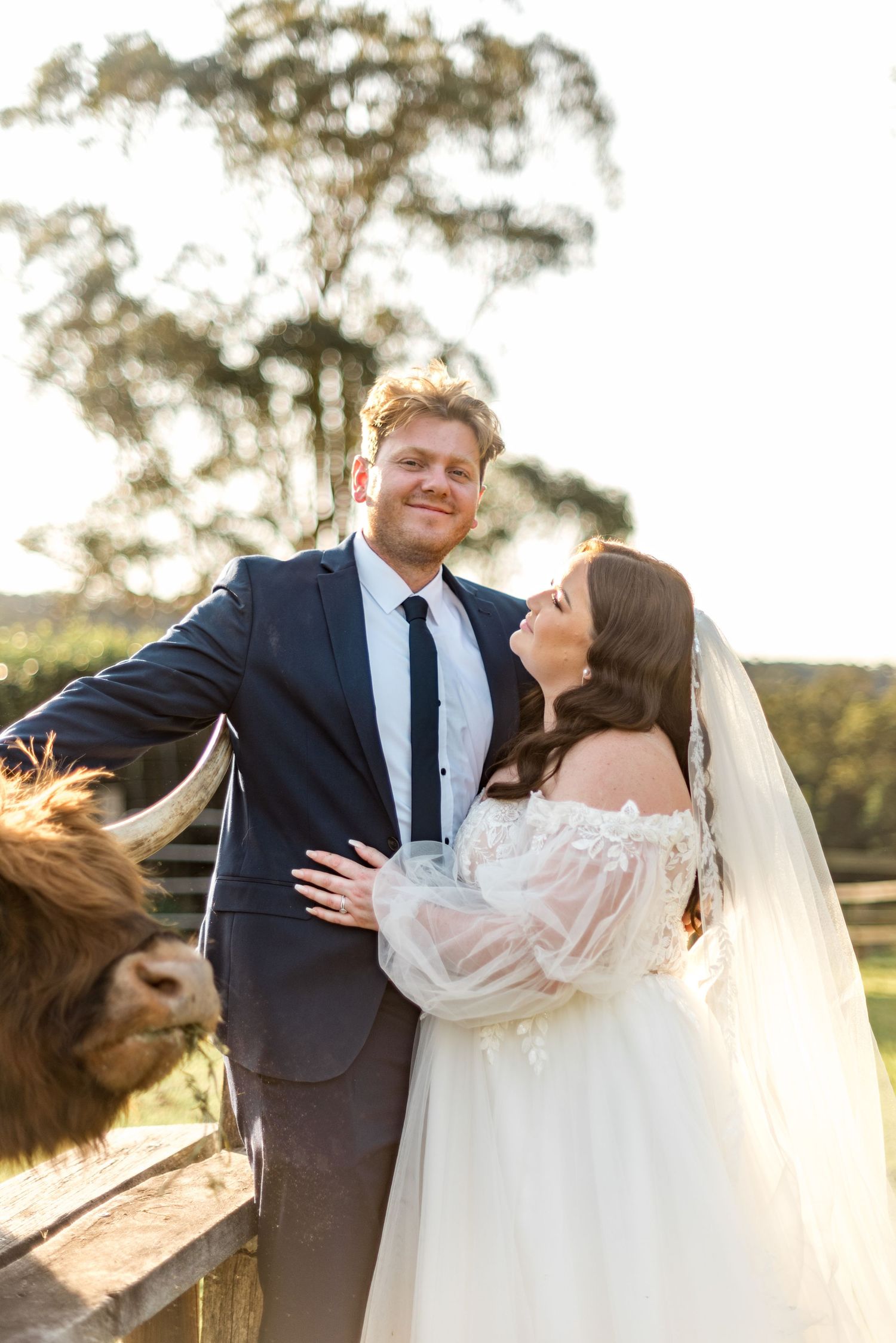 Bride and groom pose together at a rustic farm wedding venue with a Highland cow nearby.