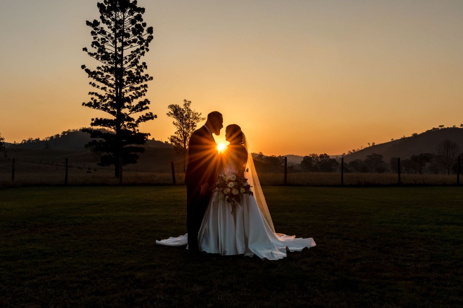 Romantic silhouette of bride and groom kissing at sunset with sunburst between them and pine tree.