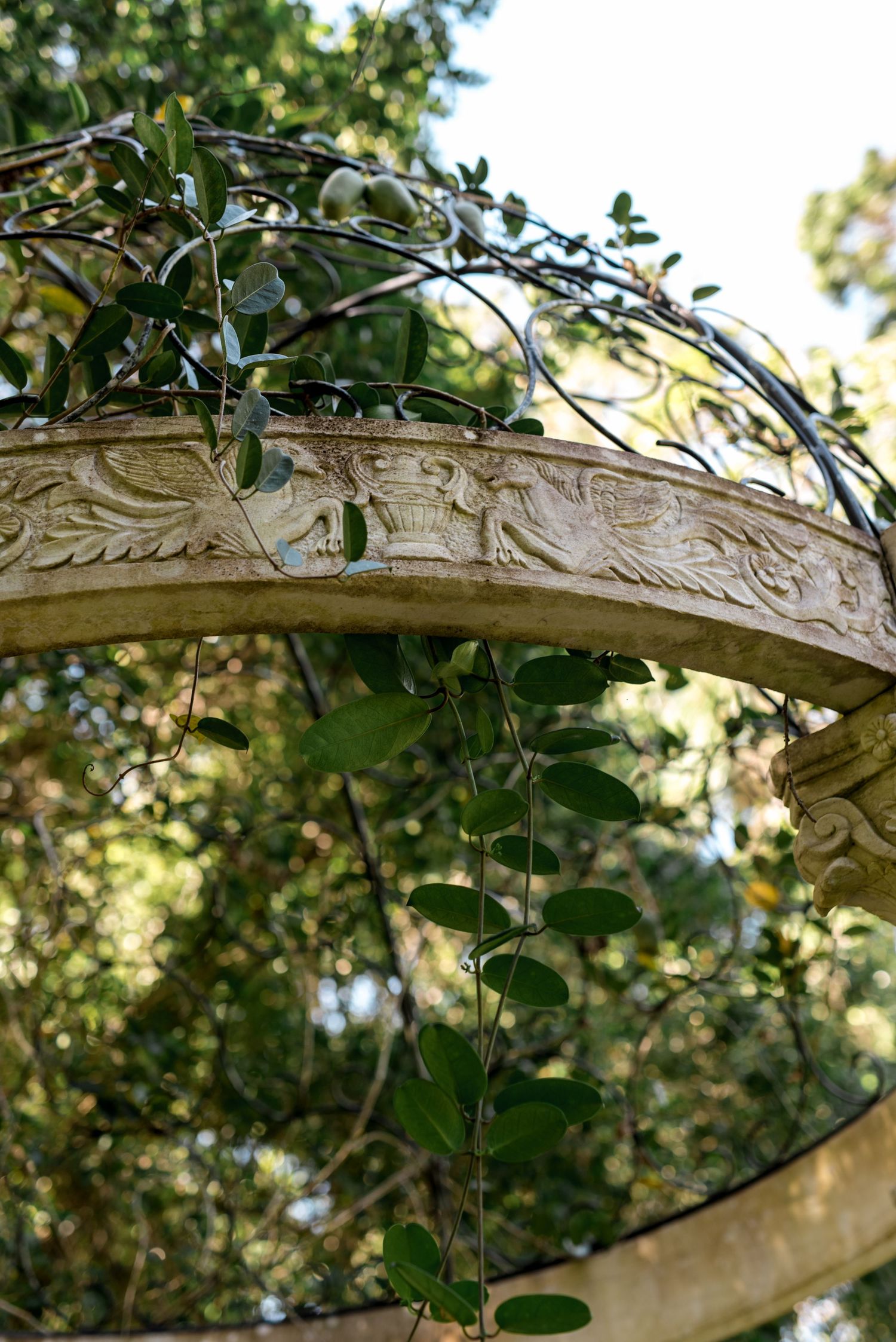 Close-up of an ornate carved stone gazebo arch with delicate climbing vines in dappled sunlight.