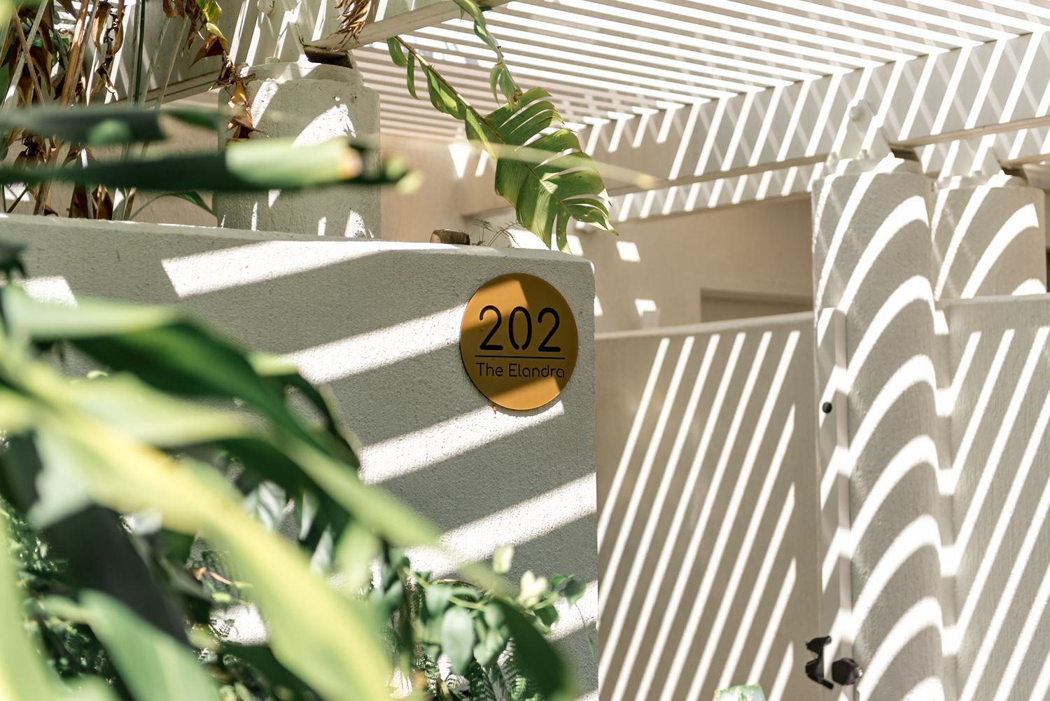 Gold room number 202 sign on white striped wall with dappled sunlight and green leaves.