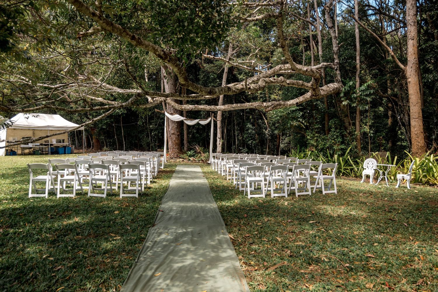 Elegant outdoor wedding ceremony setup with white chairs and fabric draped over trees in a forest.