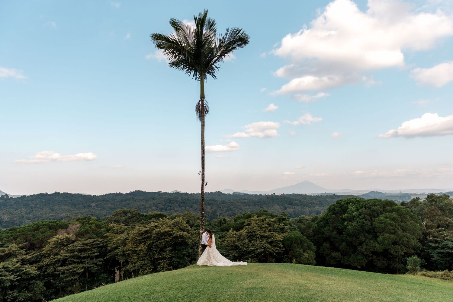 Couple embracing near tall palm tree on lush green hillside with tropical forest and blue sky backdrop.