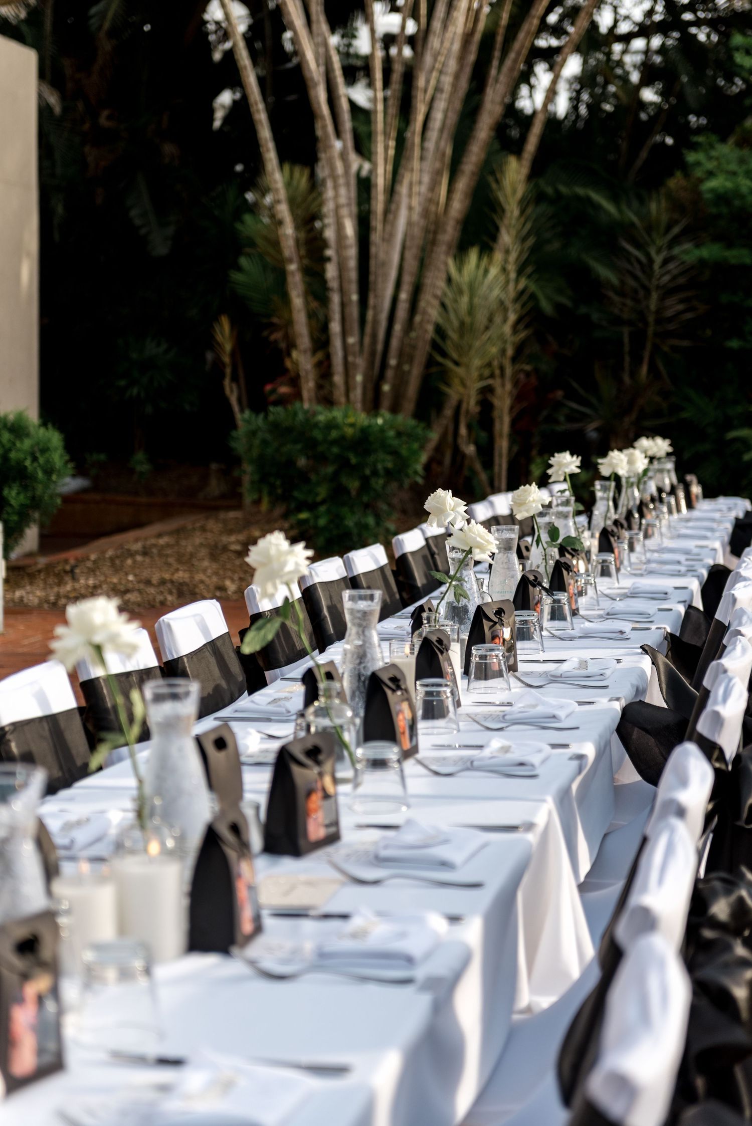Elegant outdoor wedding reception long table with white roses, black chairs, and white linens.
