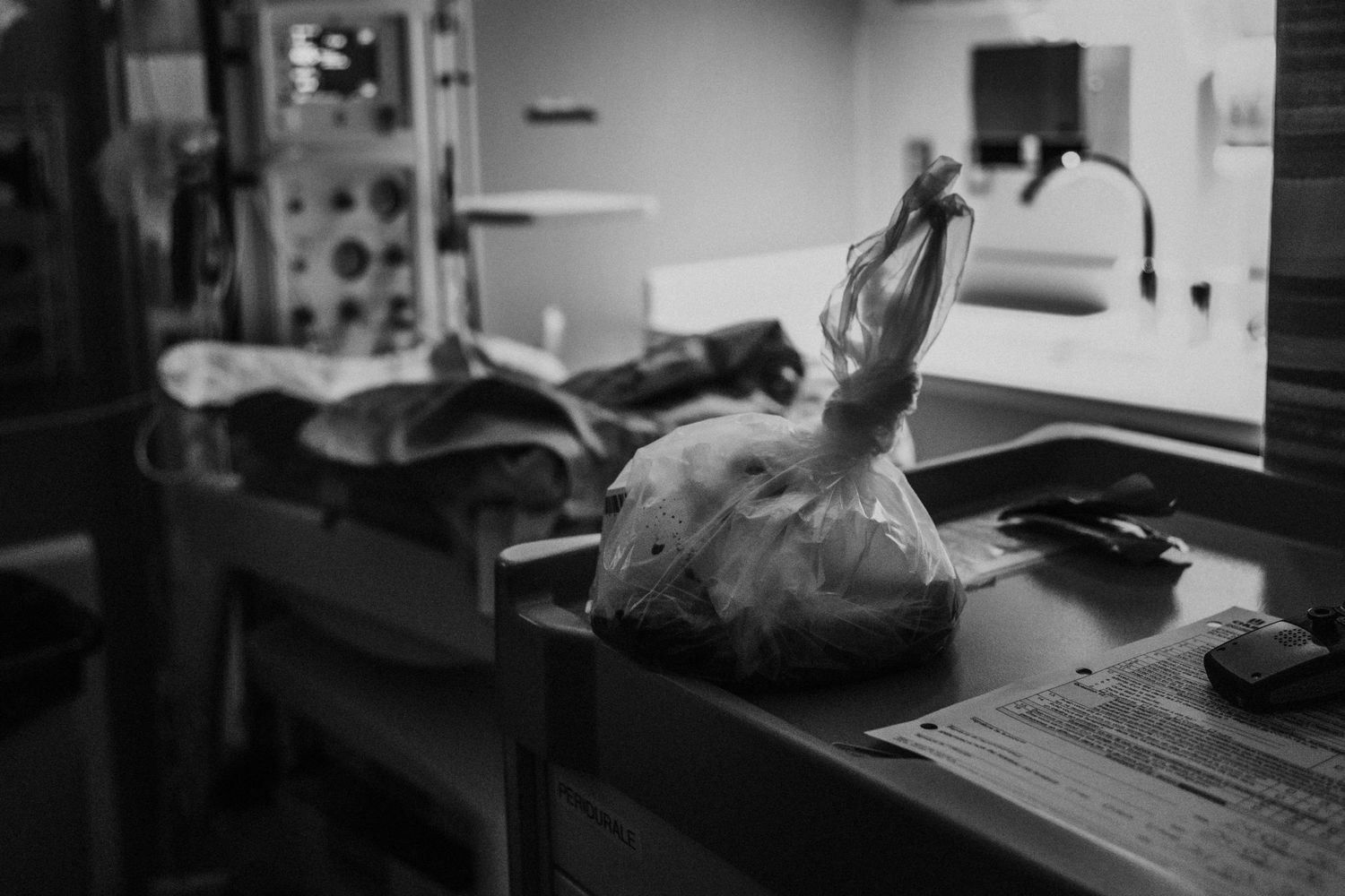Black and white photograph showing a rabbit specimen on a laboratory table with scientific equipment visible in the background.
