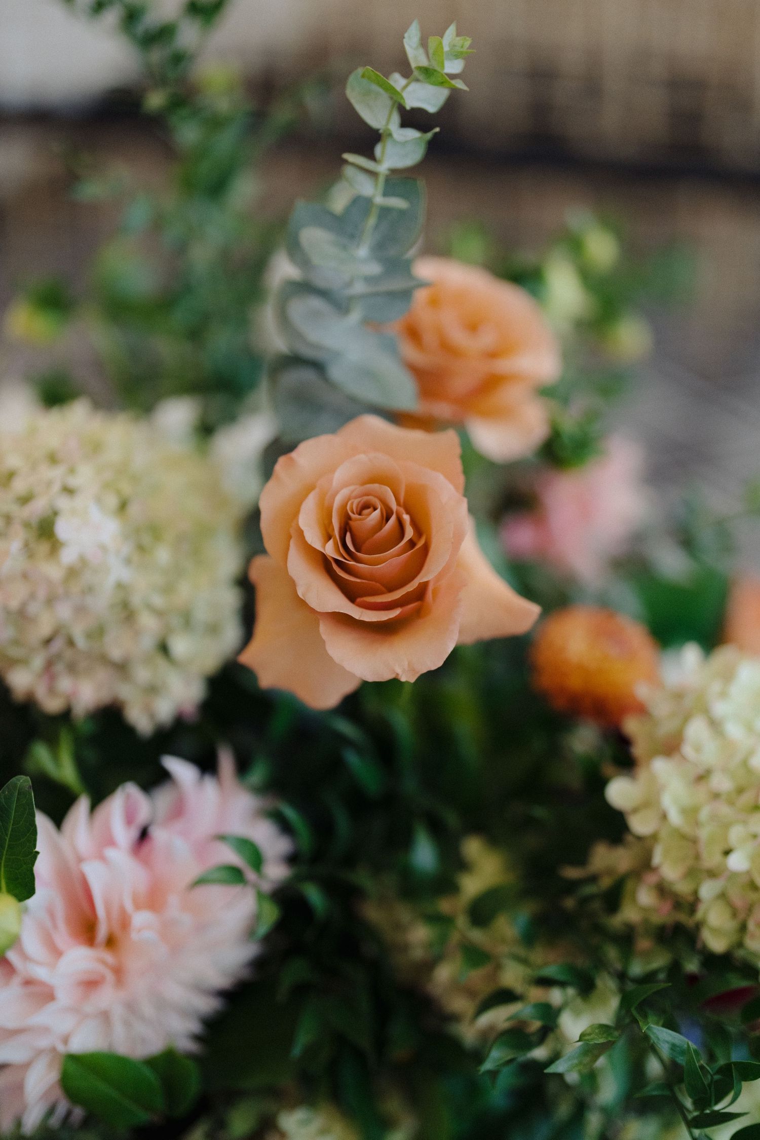 Elegant floral arrangement featuring peach roses, pink dahlias, white hydrangeas, and eucalyptus greenery.