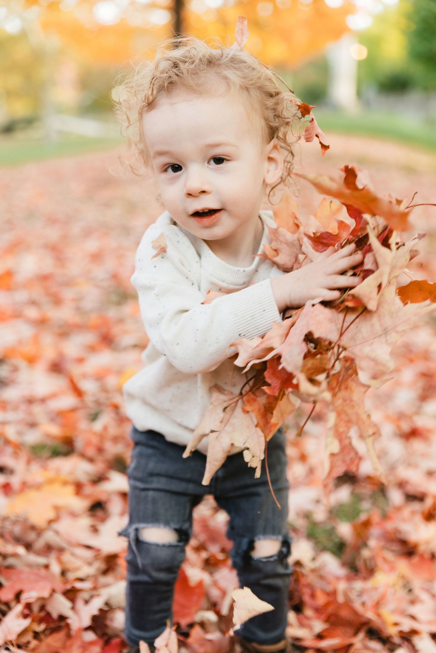 Baby in white sweater and jeans playing joyfully with autumn leaves scattered on the ground in outdoor setting.