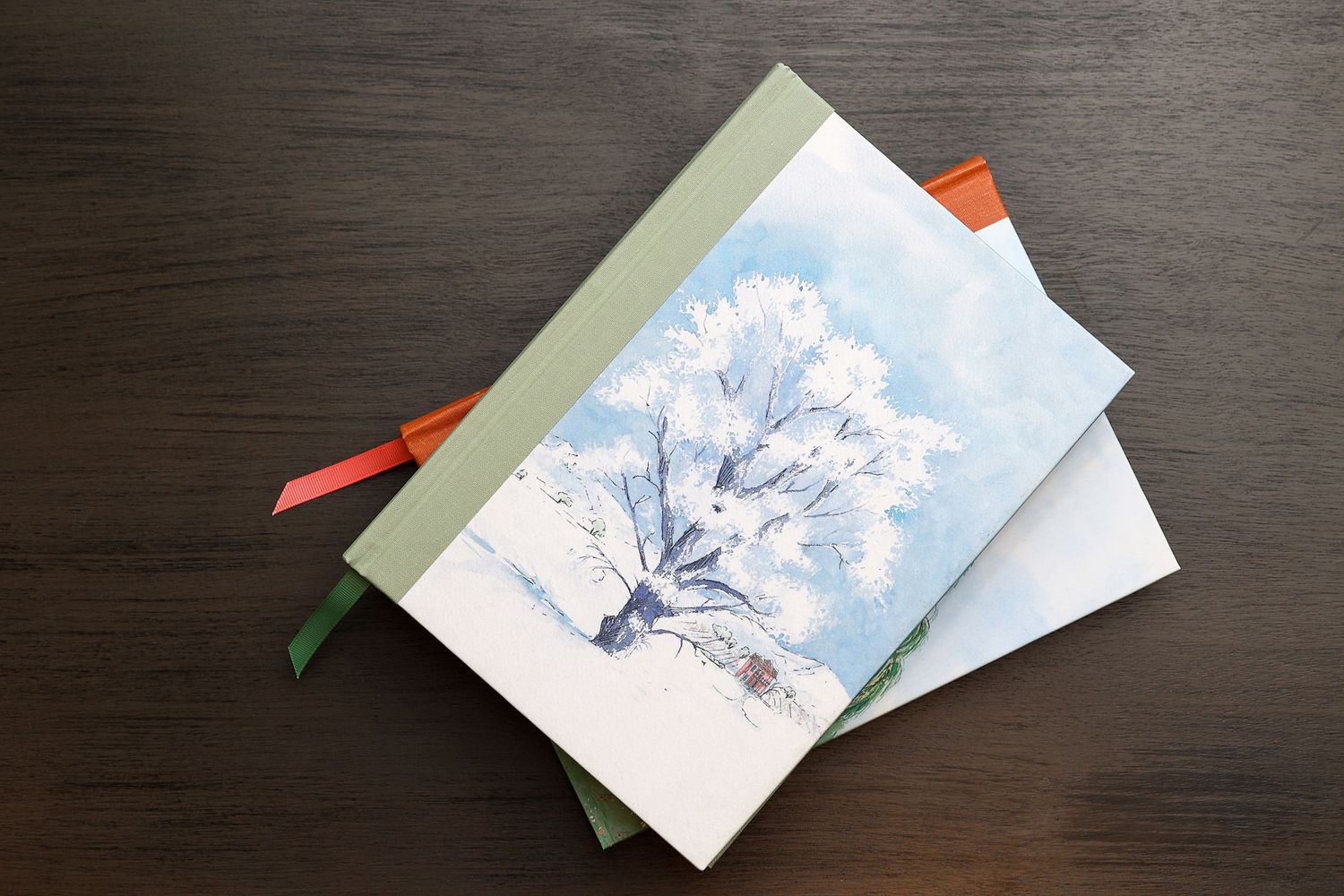 Two hardcover journals stacked on dark wood surface with colorful ribbon bookmarks.
