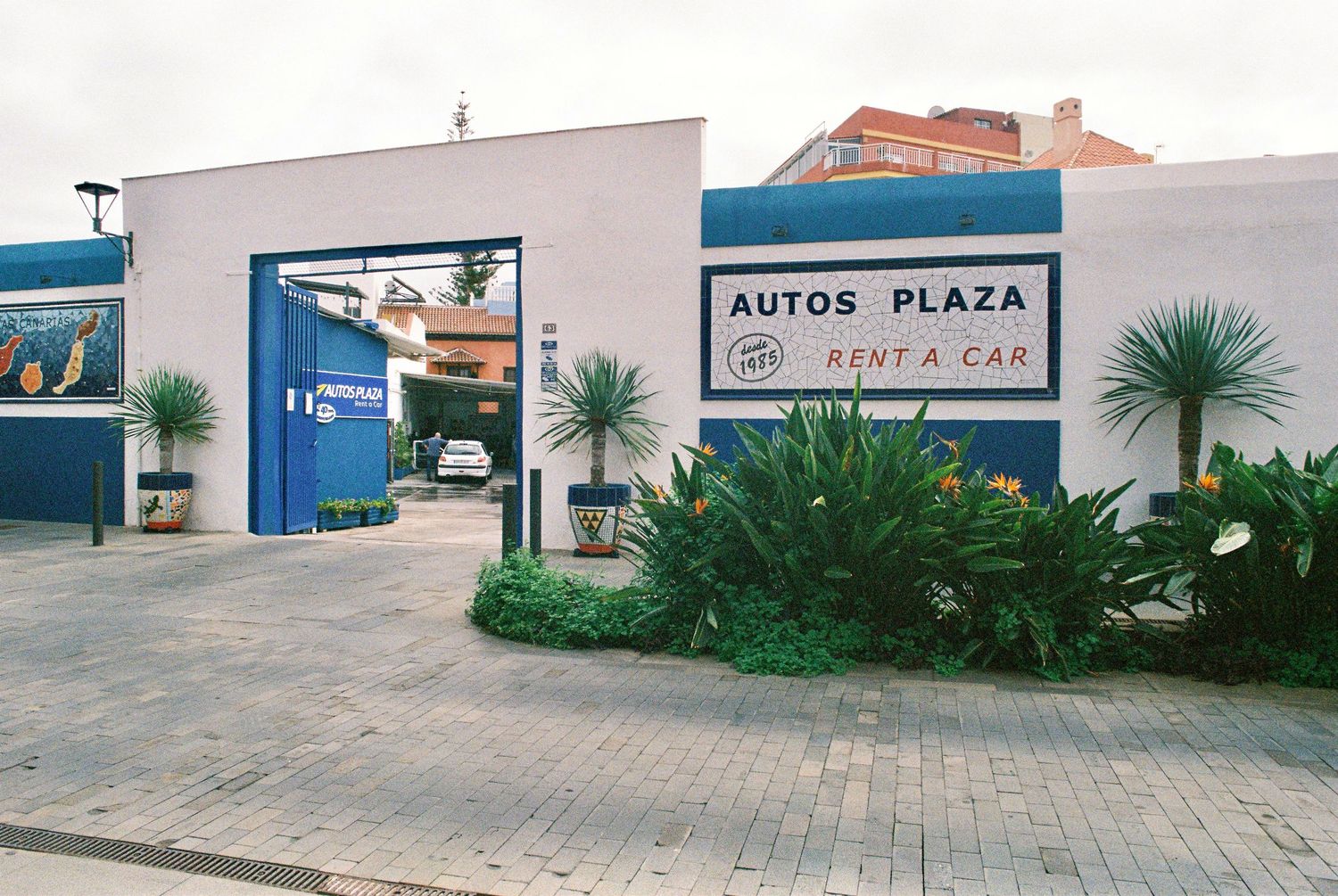 Modern commercial plaza with palm trees and paved parking area featuring retail storefronts and auto services.