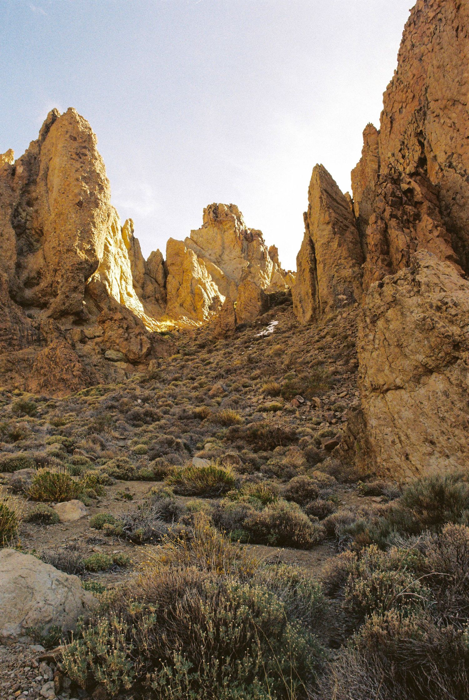 Dramatic rocky mountain formations with jagged peaks rising from desert scrubland at sunset.