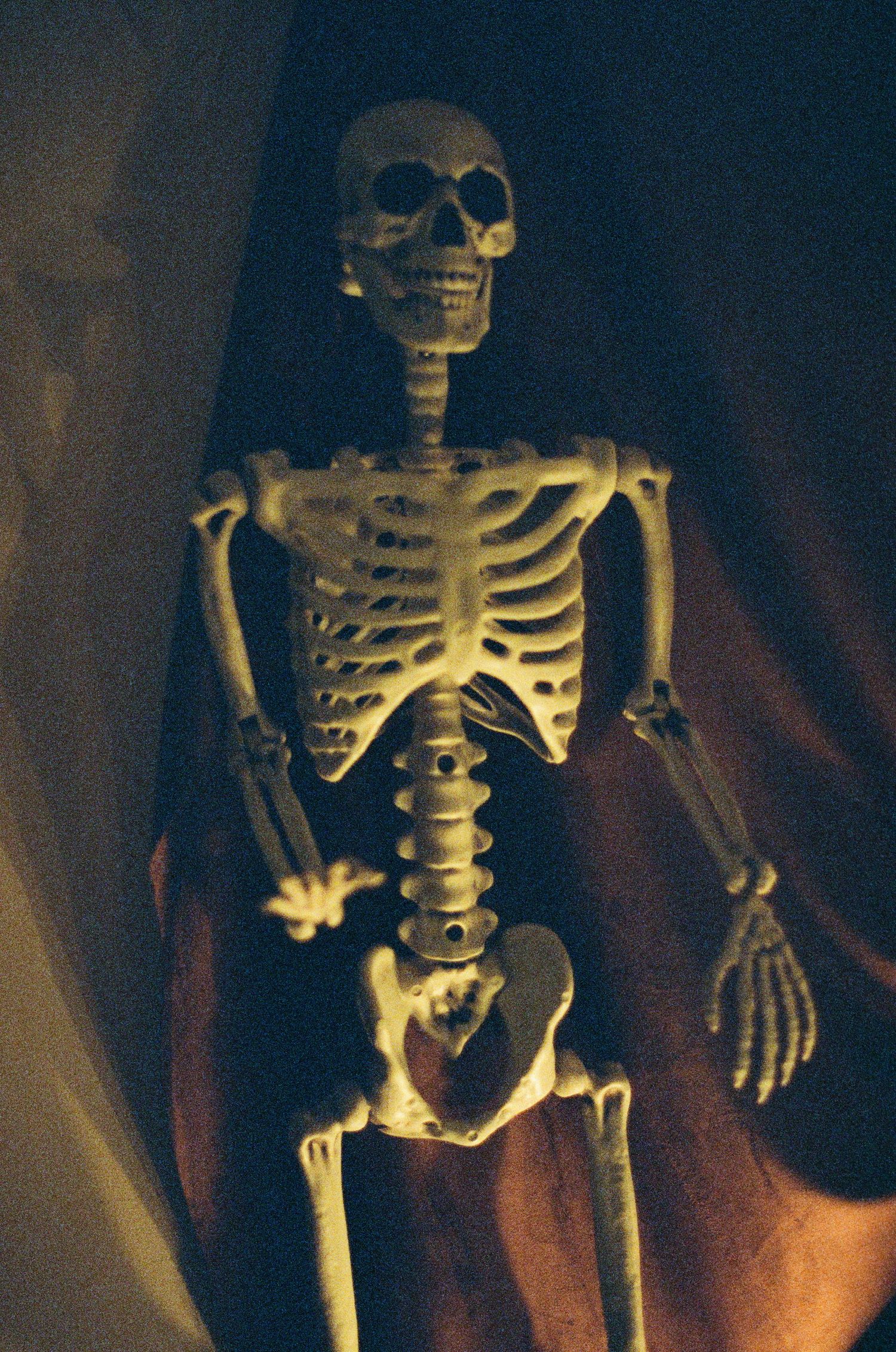 A plastic skeleton decoration is illuminated by warm ambient lighting against a dark background.