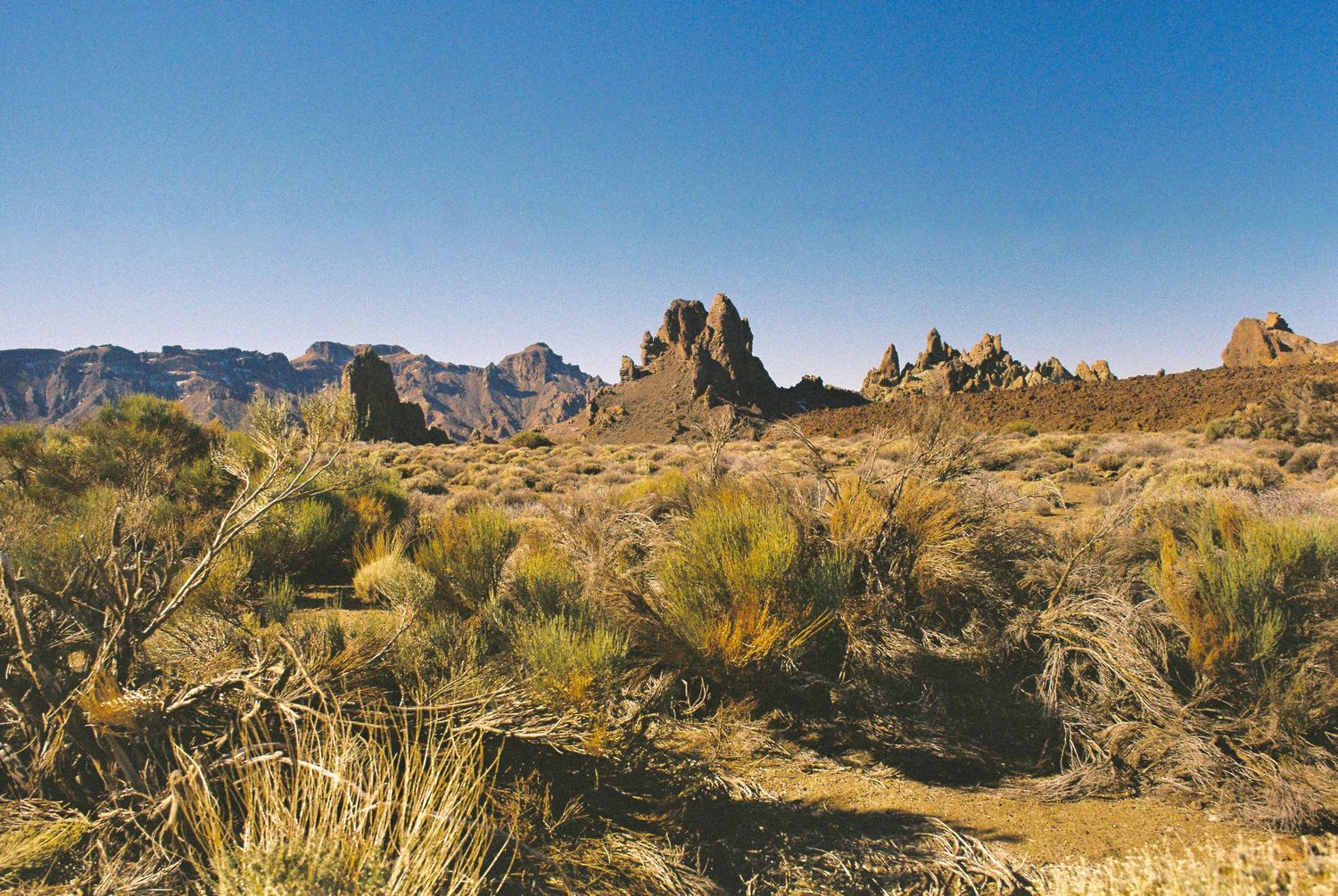 Rocky desert landscape with jagged peaks and sparse vegetation under bright blue sky.