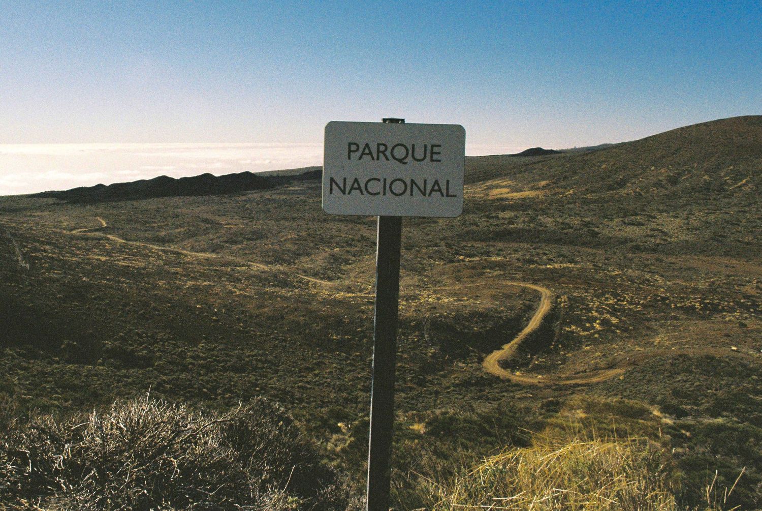 Rugged desert landscape with winding dirt path and National Park signage under clear blue skies.