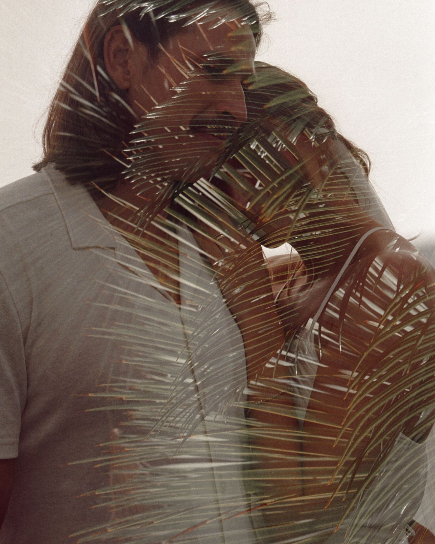 Palm fronds create artistic shadows and reflections in a romantic composition.